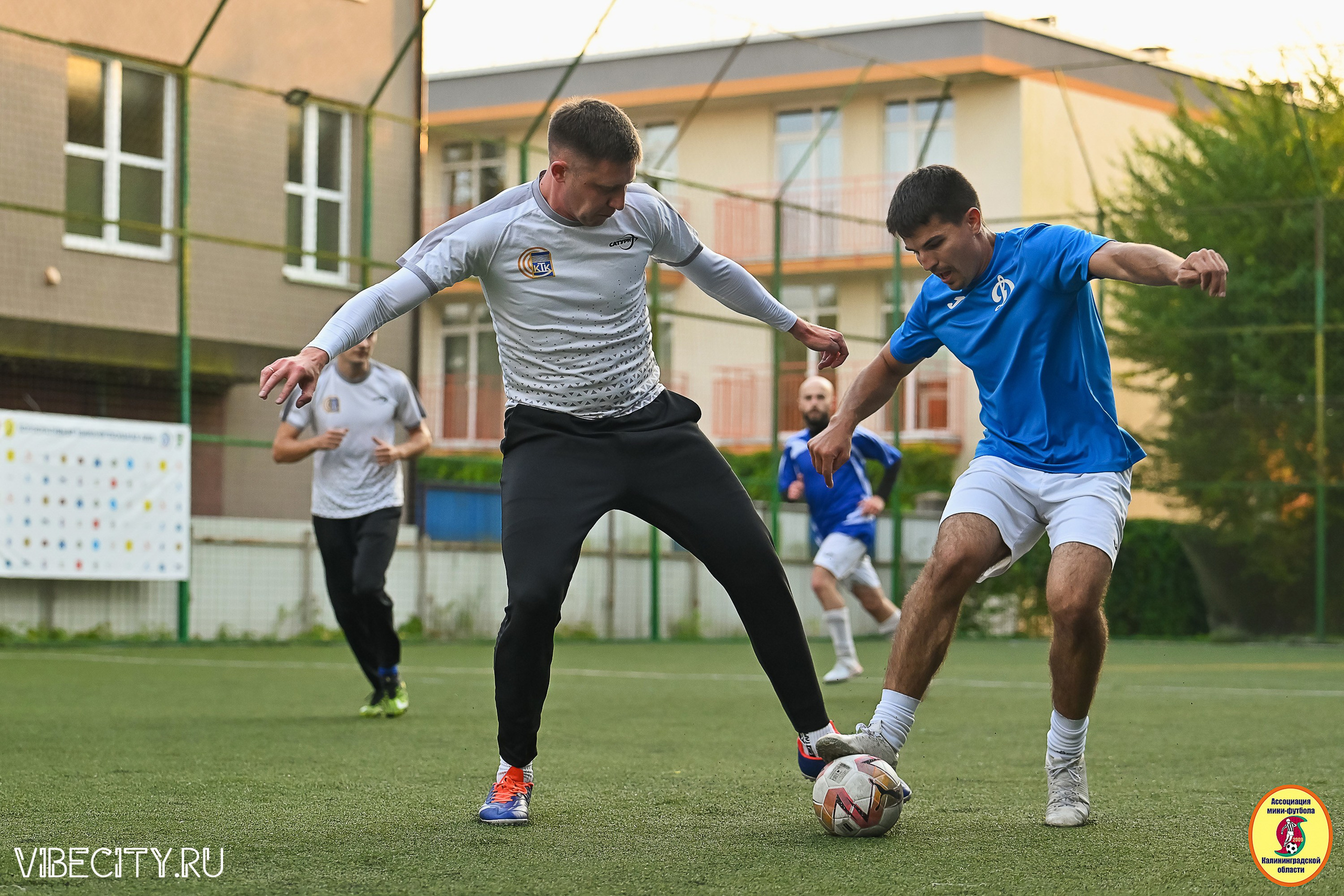 ИГРЫ ПЛЕЙ-ОФФ ПЕРВОГО ДИВИЗИОНА МИНИ-ФУТБОЛЬНОЙ ЛИГИ. VIBECITY.RU Вайб Сити Ру Фоторепортажи Фотоотчеты Калининград