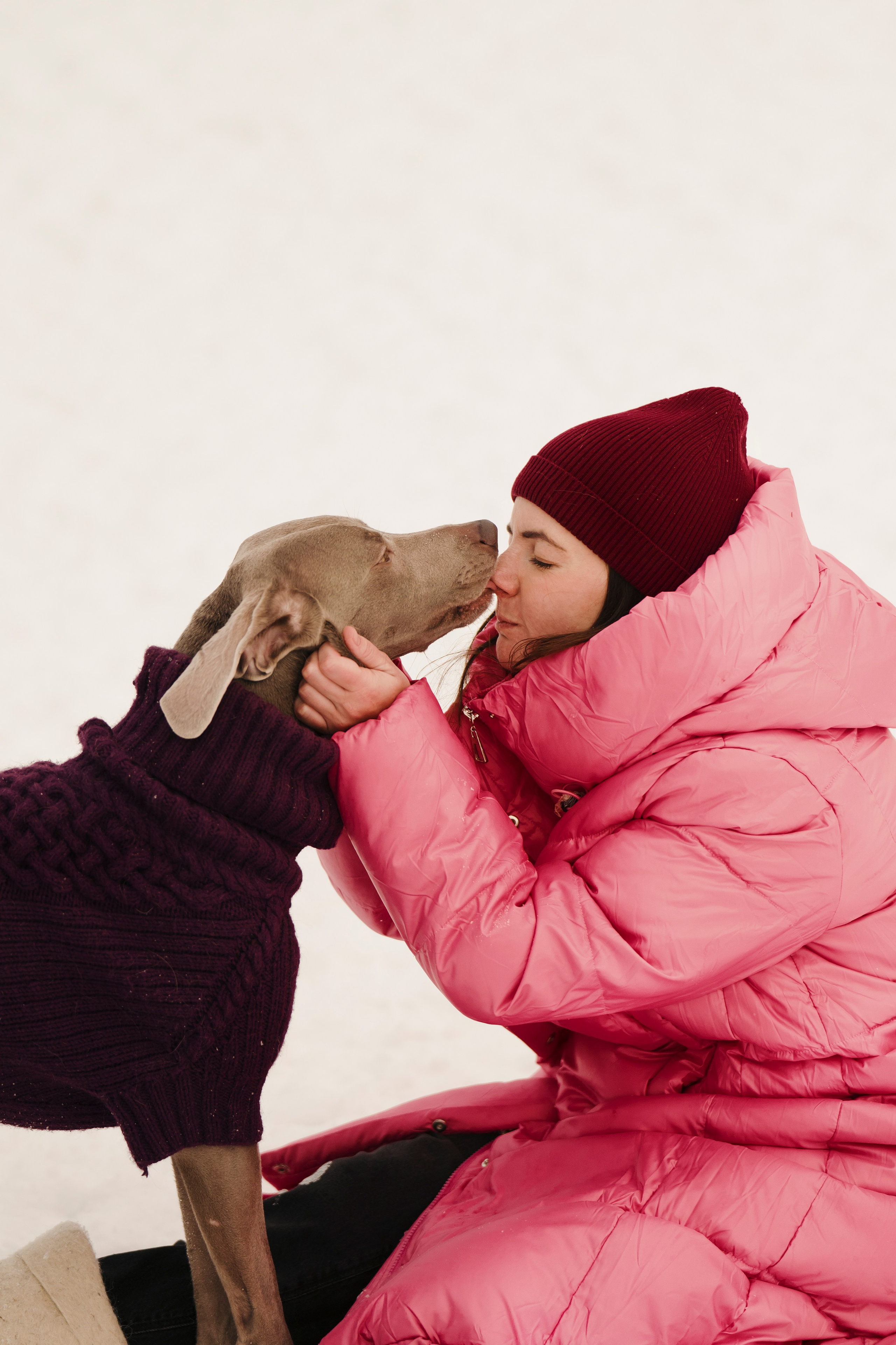 Зоогостиница Мишка. Фотограф- анималист Александра Матвеева