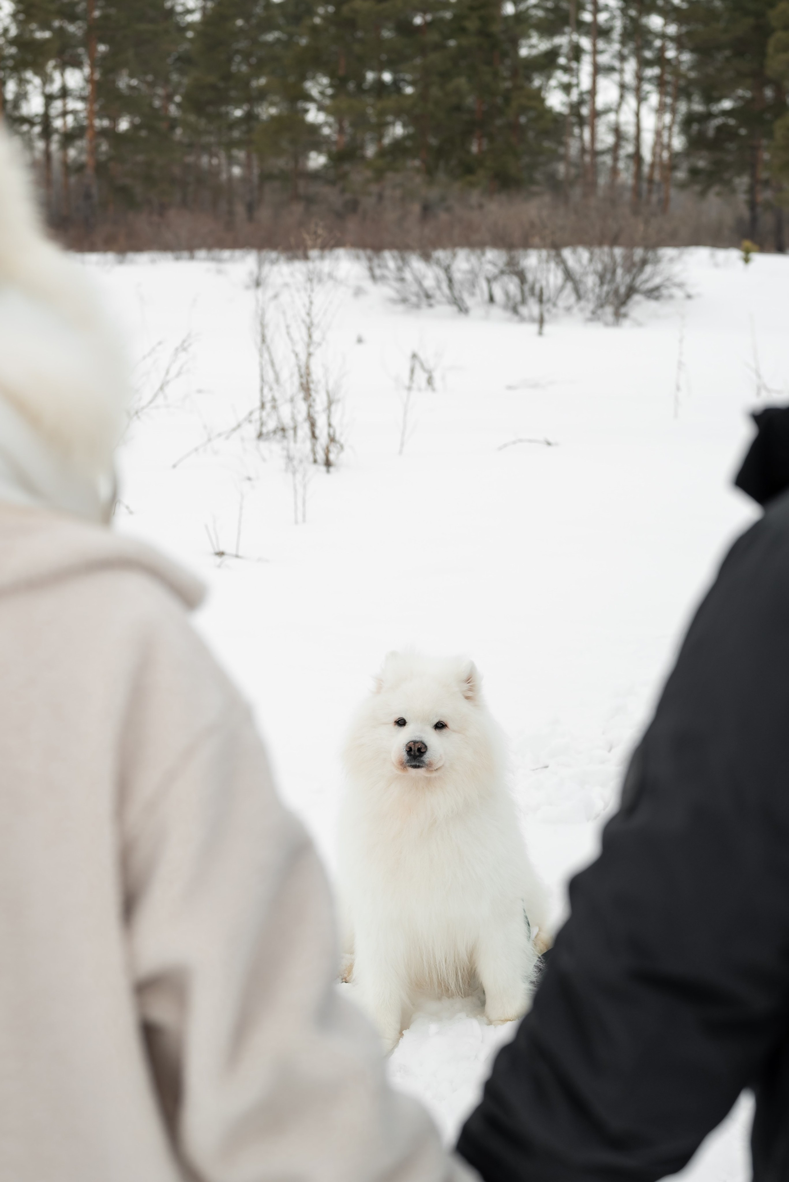 Фотопроект с Платоном и машиной на улице. Фотограф в городе Салават