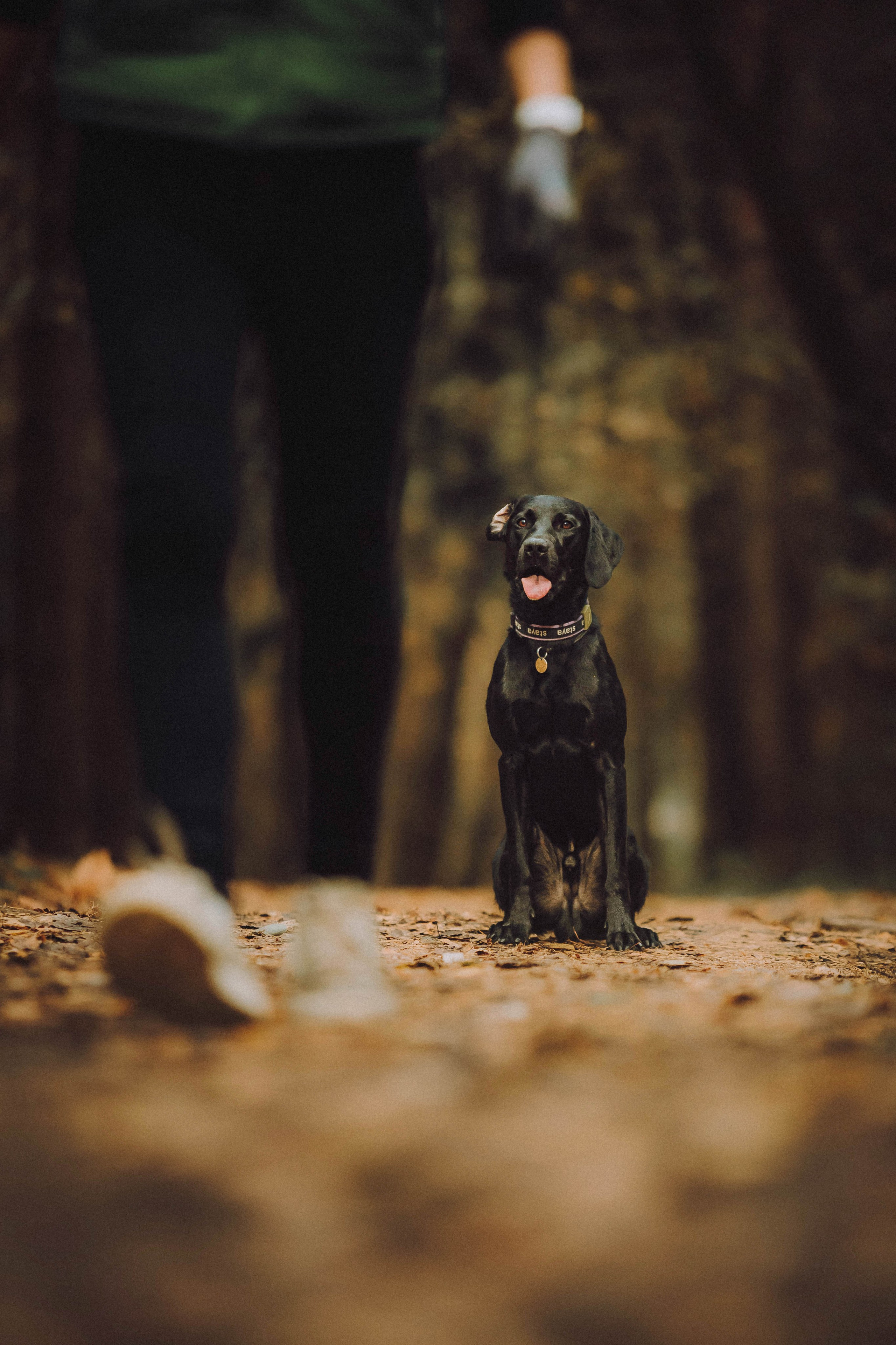 Аня, Нео и Луна