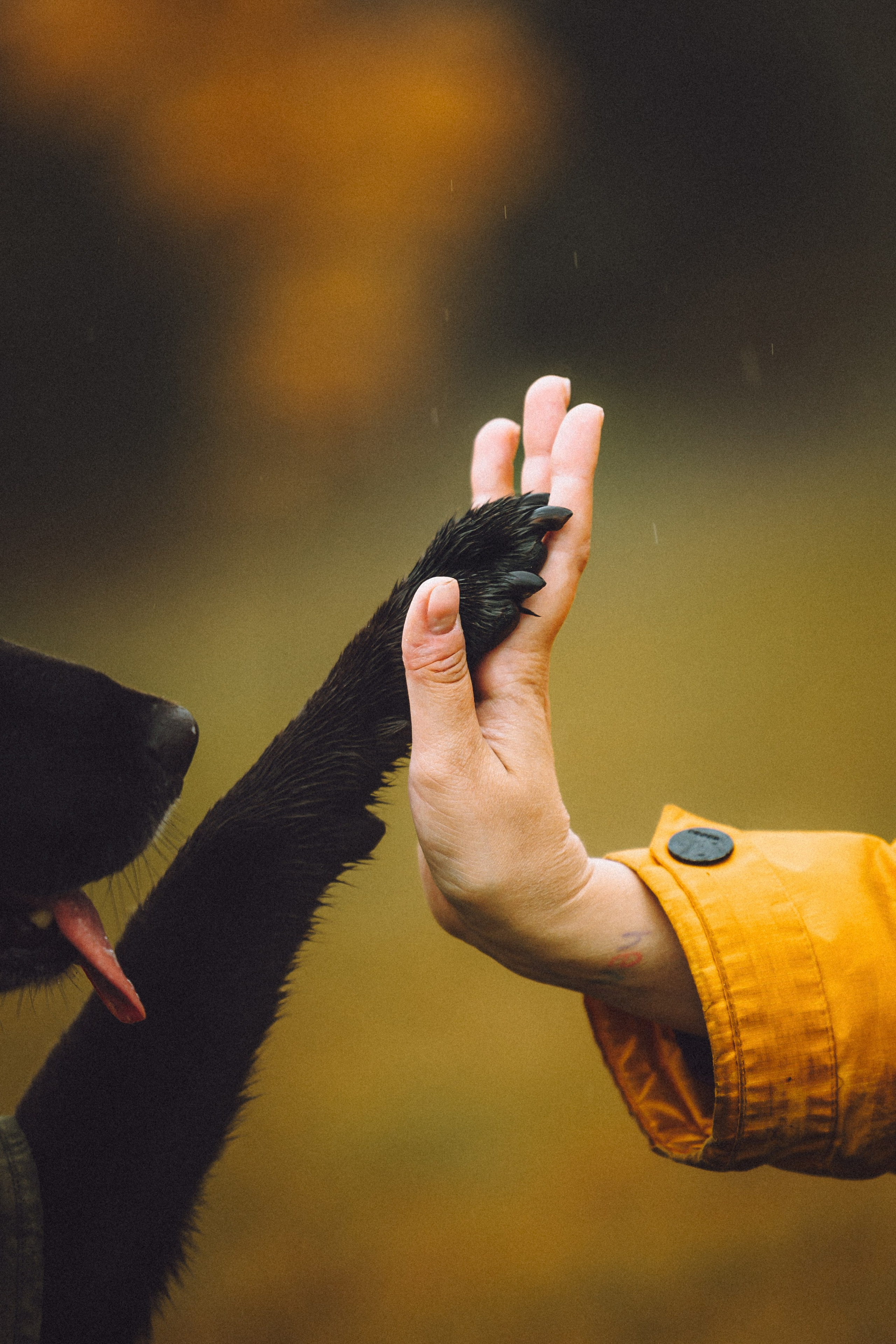 Рита и Буба