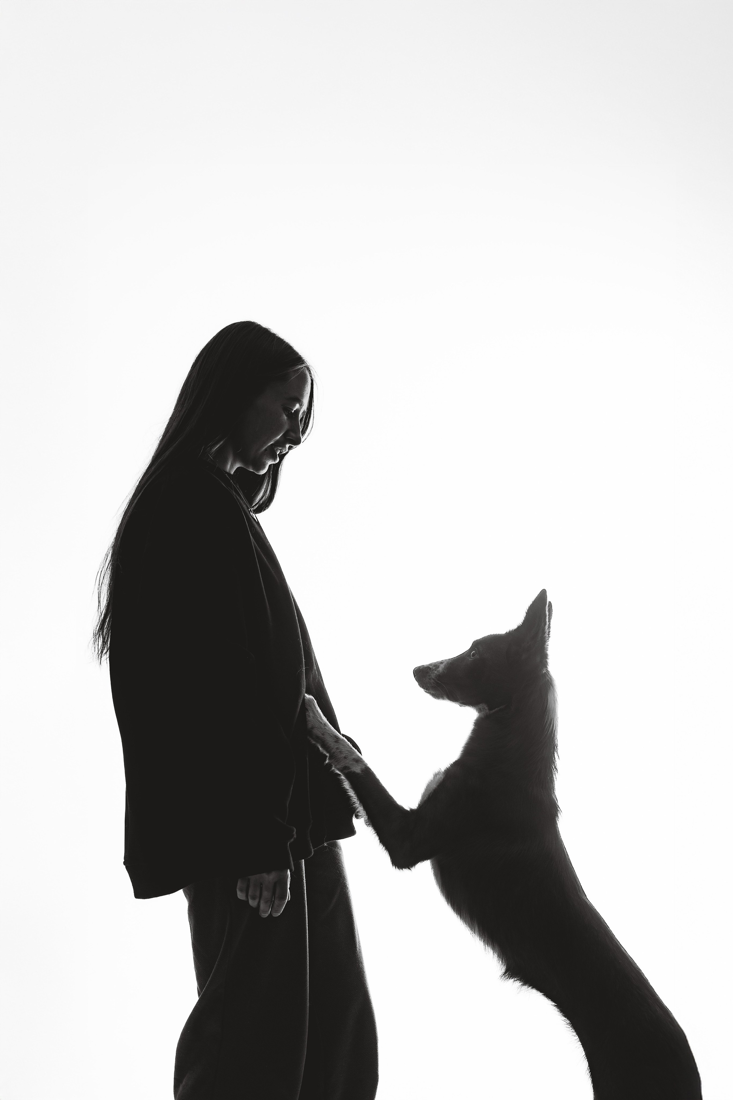 Воркшоп по импульсному свету