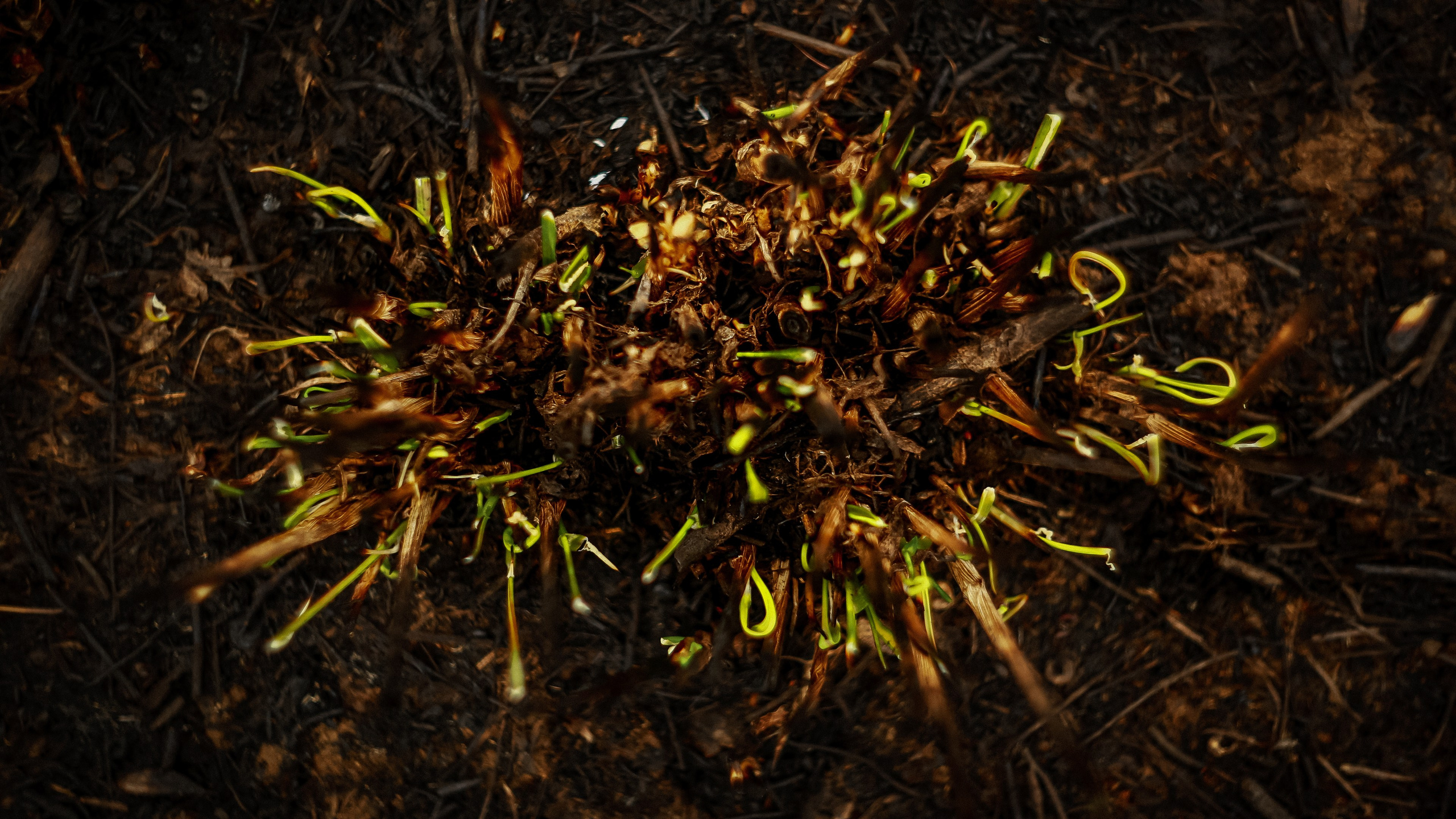 Магия обыкновенного. Фотограф-документалист и фототерапевт Настя Китаева. Город Москва