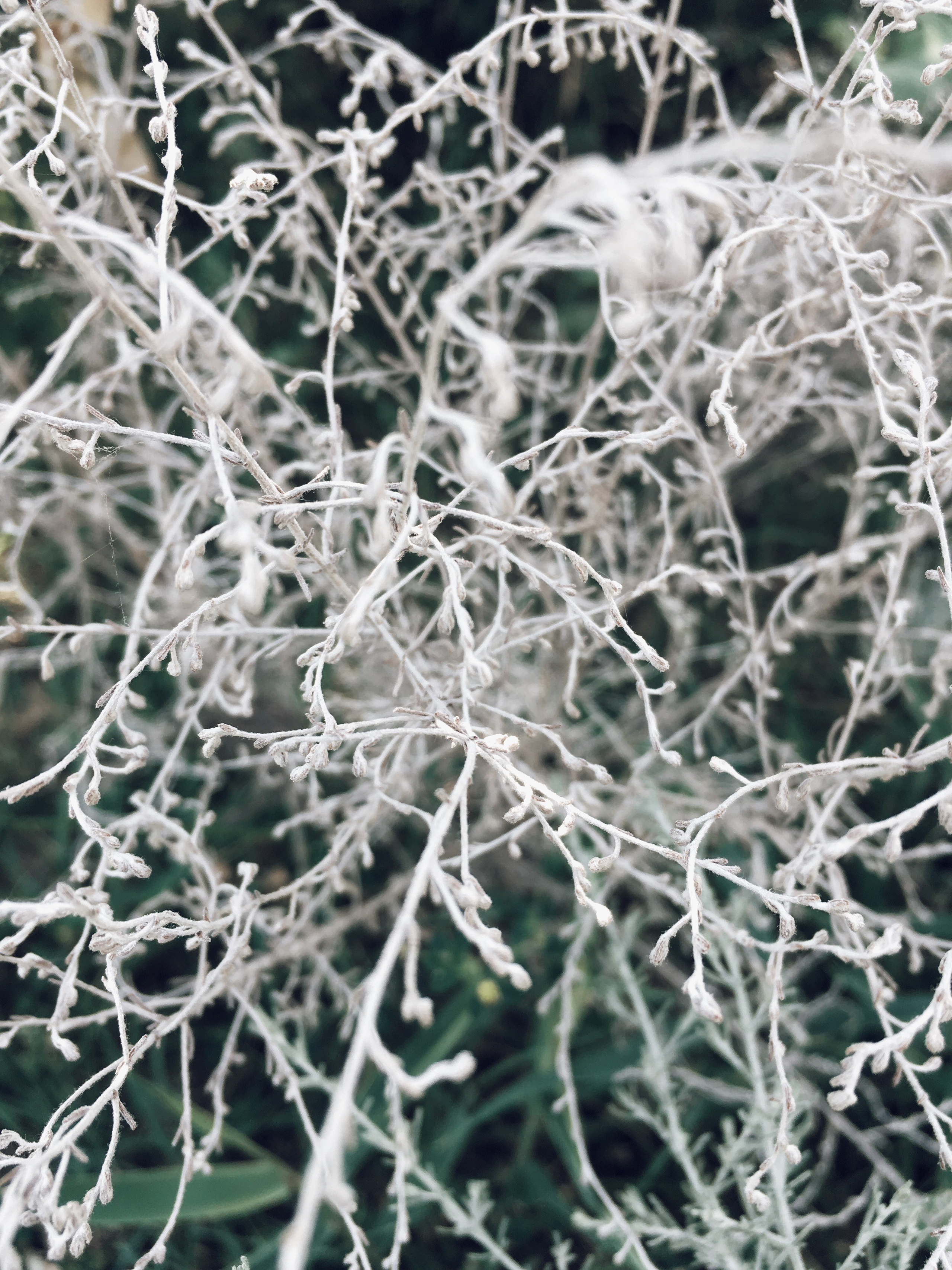 Визуальный дневник. Портретный фотограф в Москве Гахраманова Екатерина