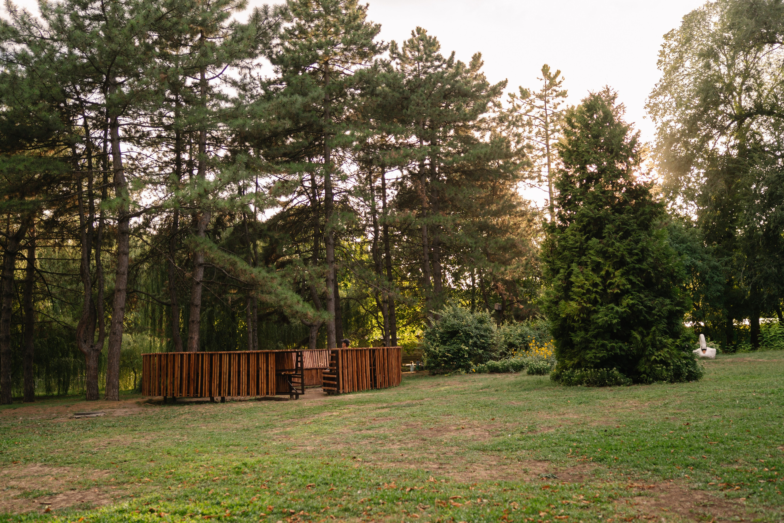 Локации для школьных съемок. Семейный фотограф и видеограф Ростов-на-Дону