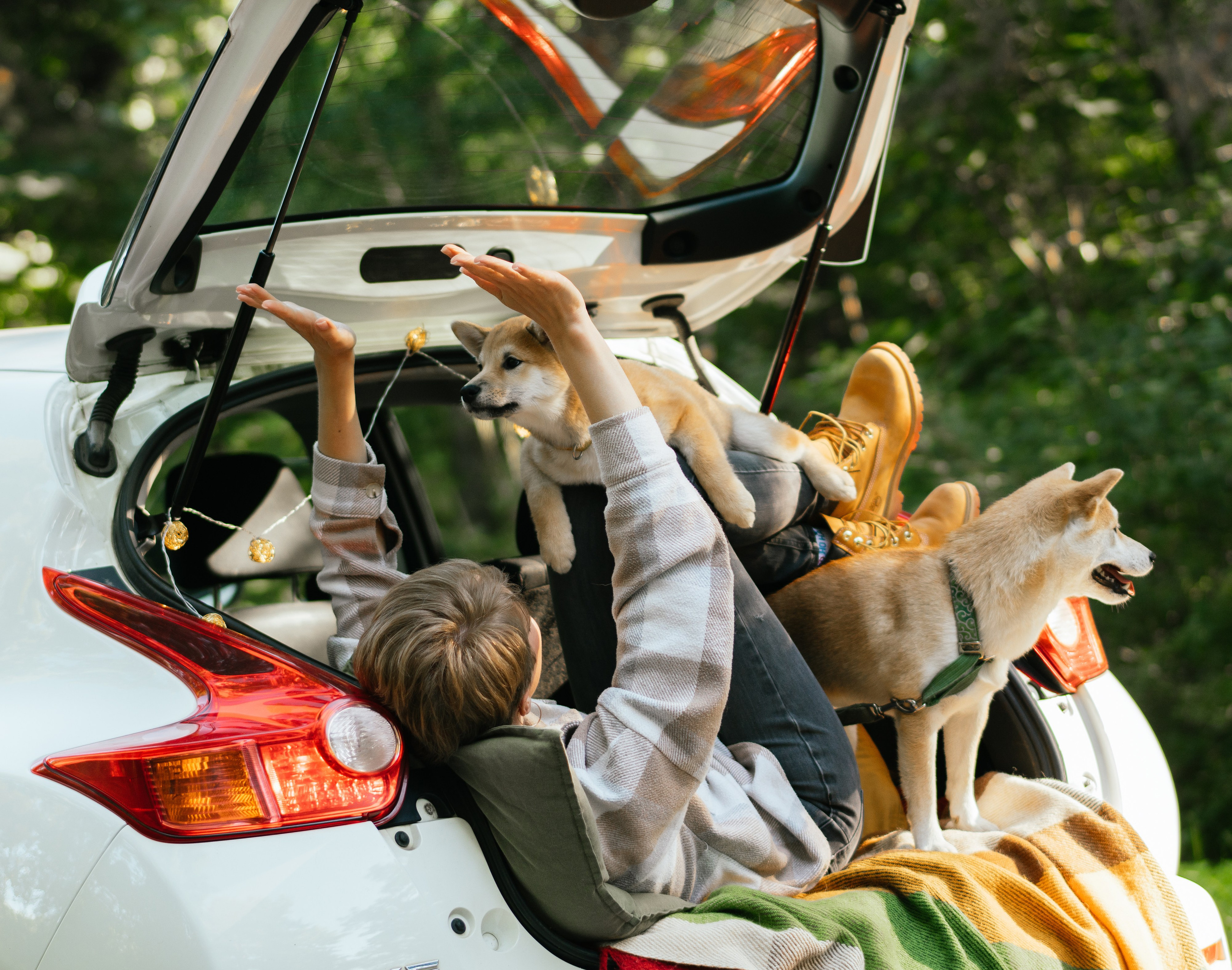 Любимые питомцы. Живые снимки! Фотограф Даша Бендер