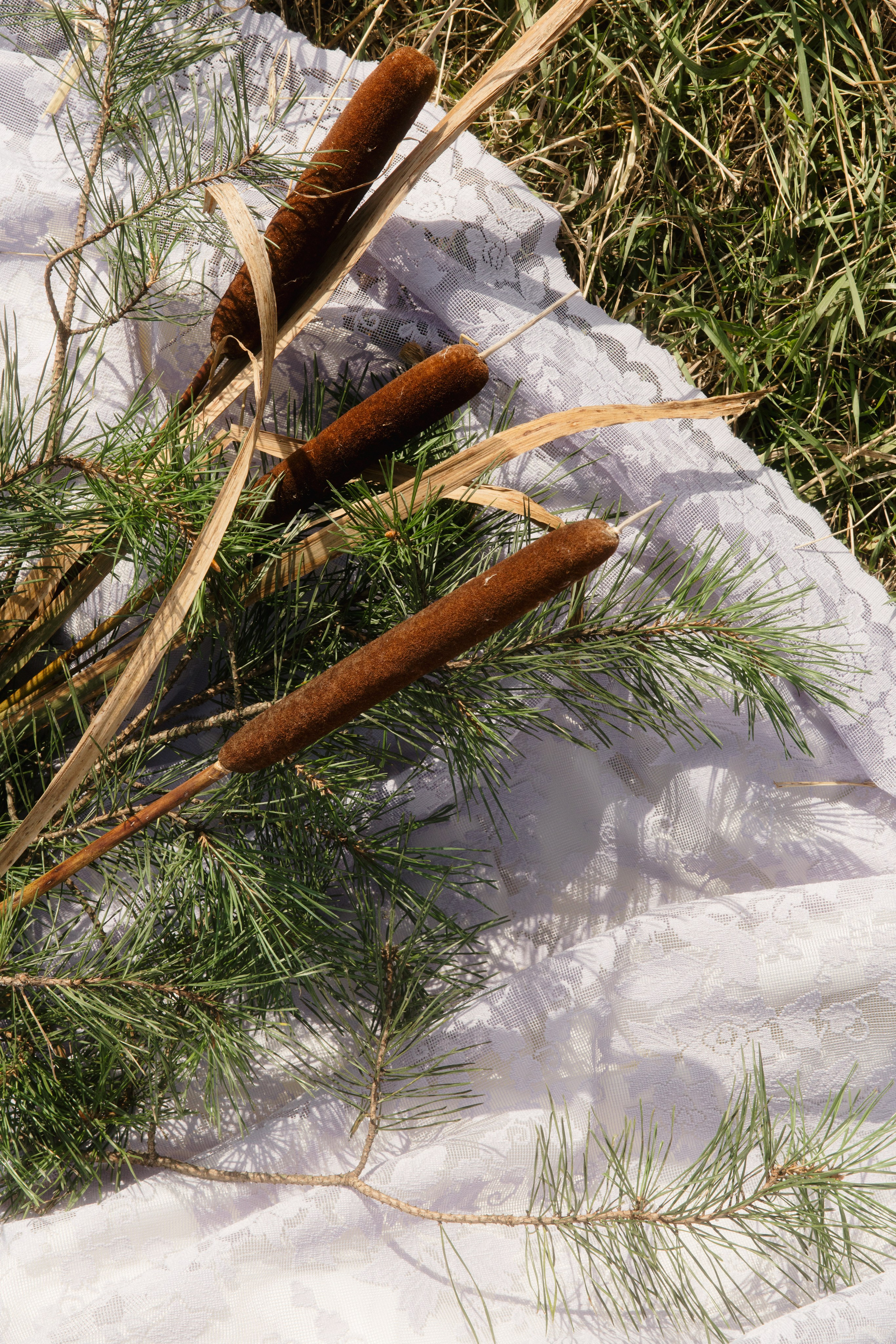 @chili_weddings. Свадебный и репортажный фотограф в Москве Владимир Сергеев | Naysaikolo