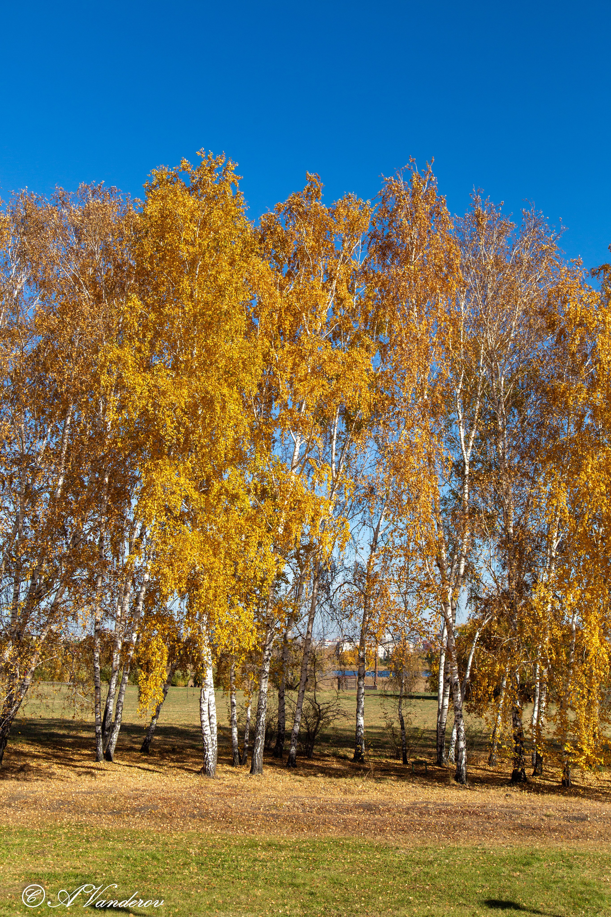 Красота природы. Фотограф Омск | Александр Вандеров