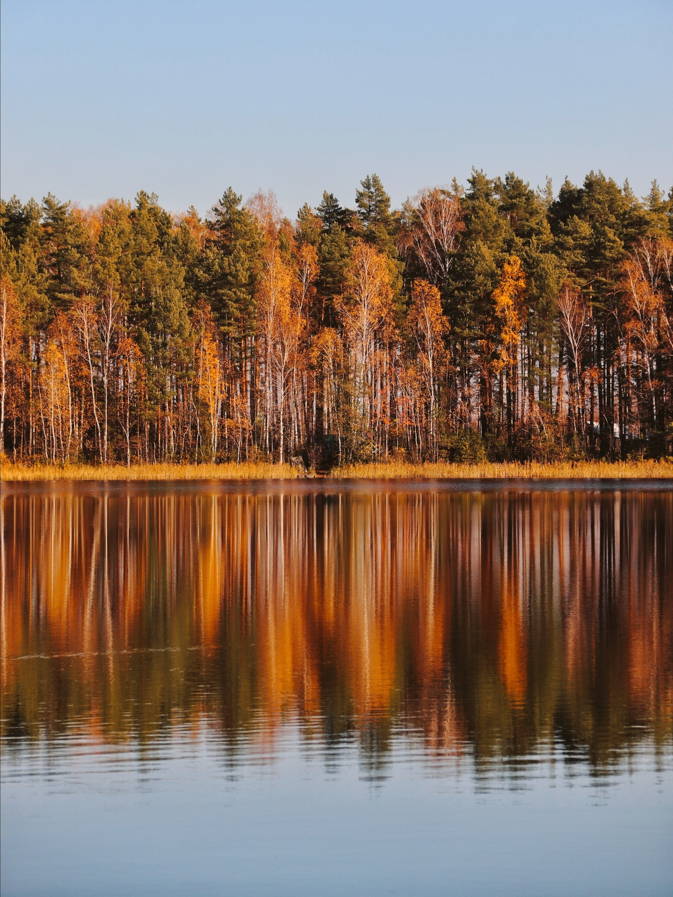 По тропе Паустовского. С любовью, фотохудожник