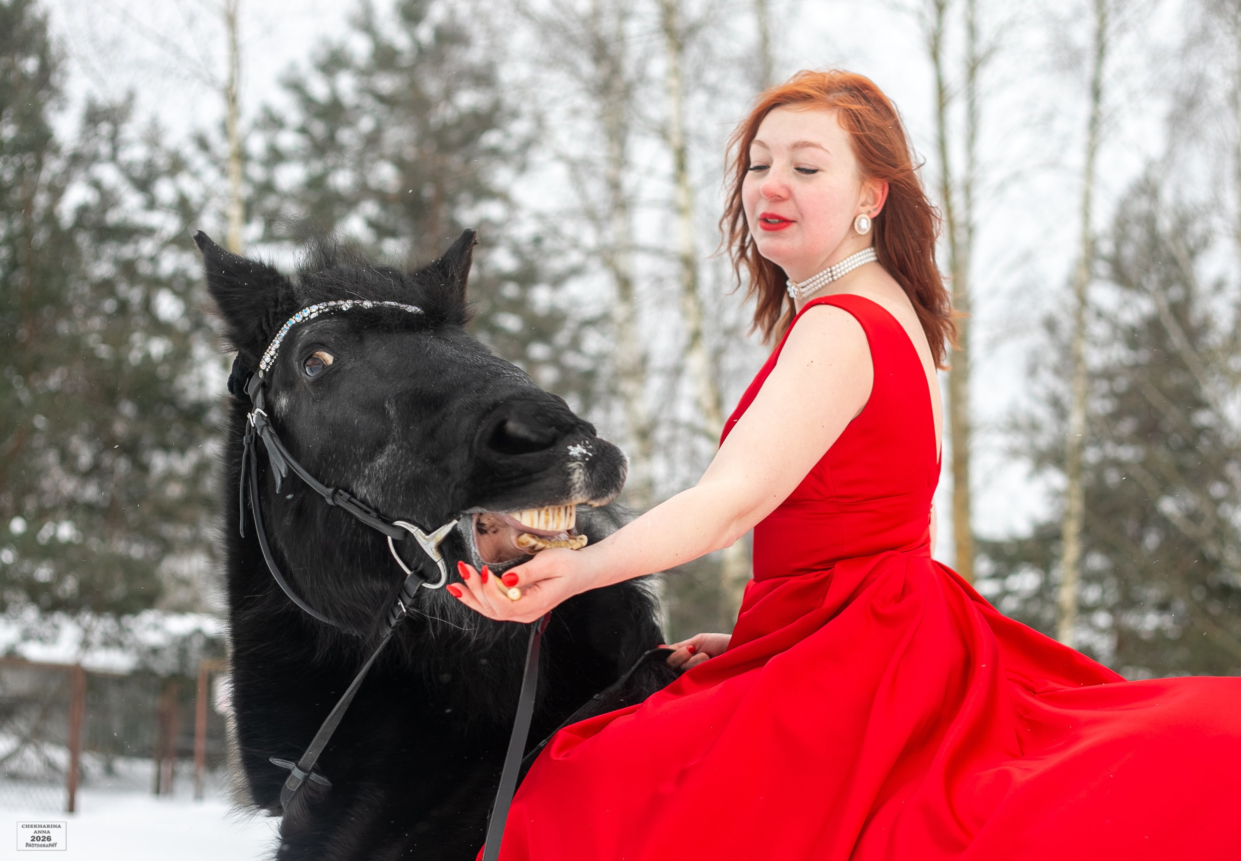 Фотосессии с лошадьми. Профессиональный фотограф Чехарина Анна / pro photographer Chekharina