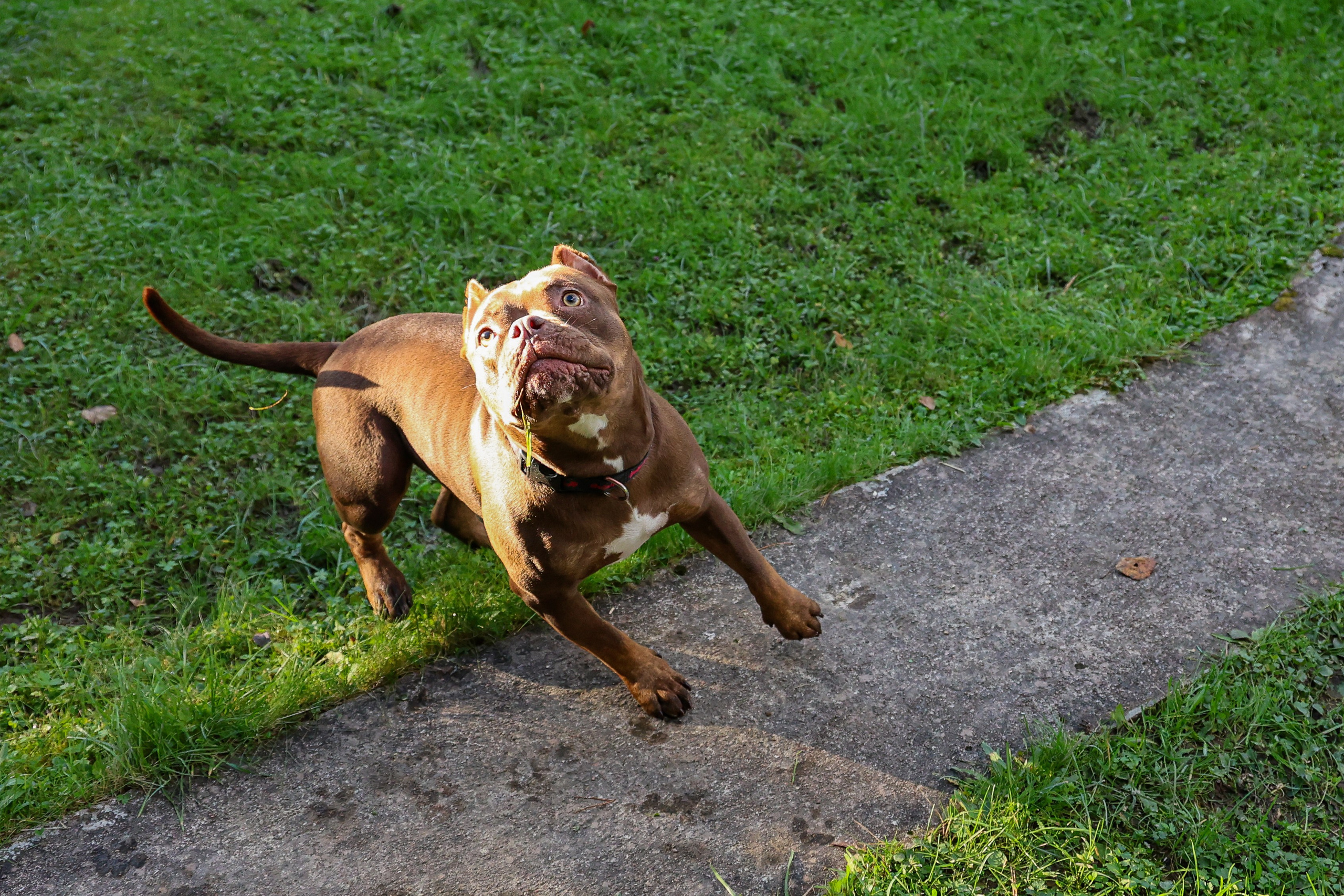 Амина. Валерия Гуртовая | Фотограф, Санкт-Петербург