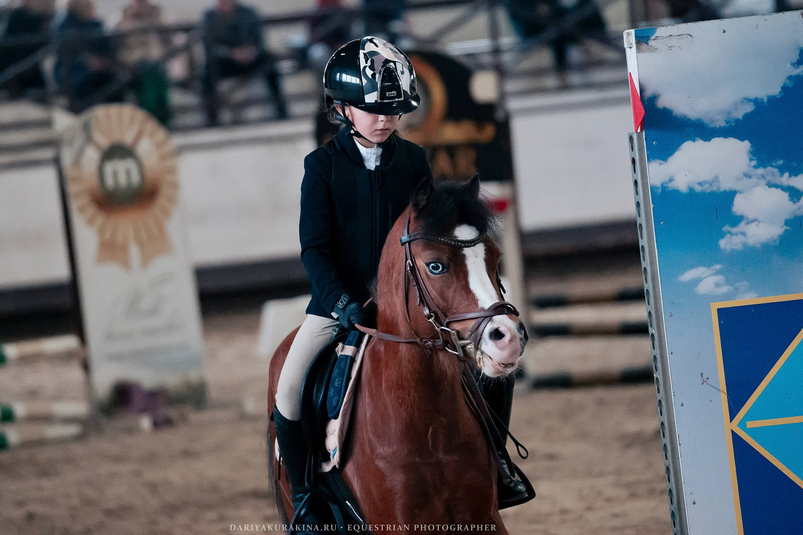ОТКРЫТИЕ ЗИМНЕГО СЕЗОНА ПО КОНКУРУ В КСК «БЕЛАЯ ДАЧА». Куракина Дарья • Конный фотограф
