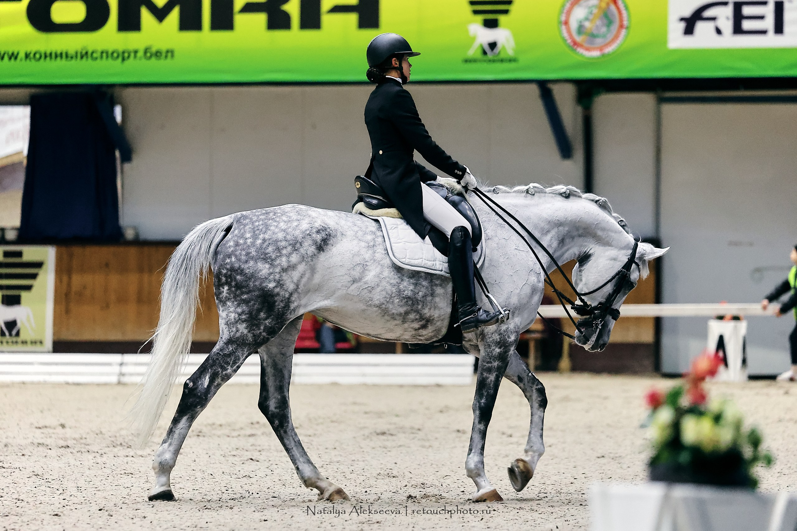 Звезды Евразии по выездке, Минск | 10'2023. Репортажный фотограф и ретушер в Москве Наталья Алексеева