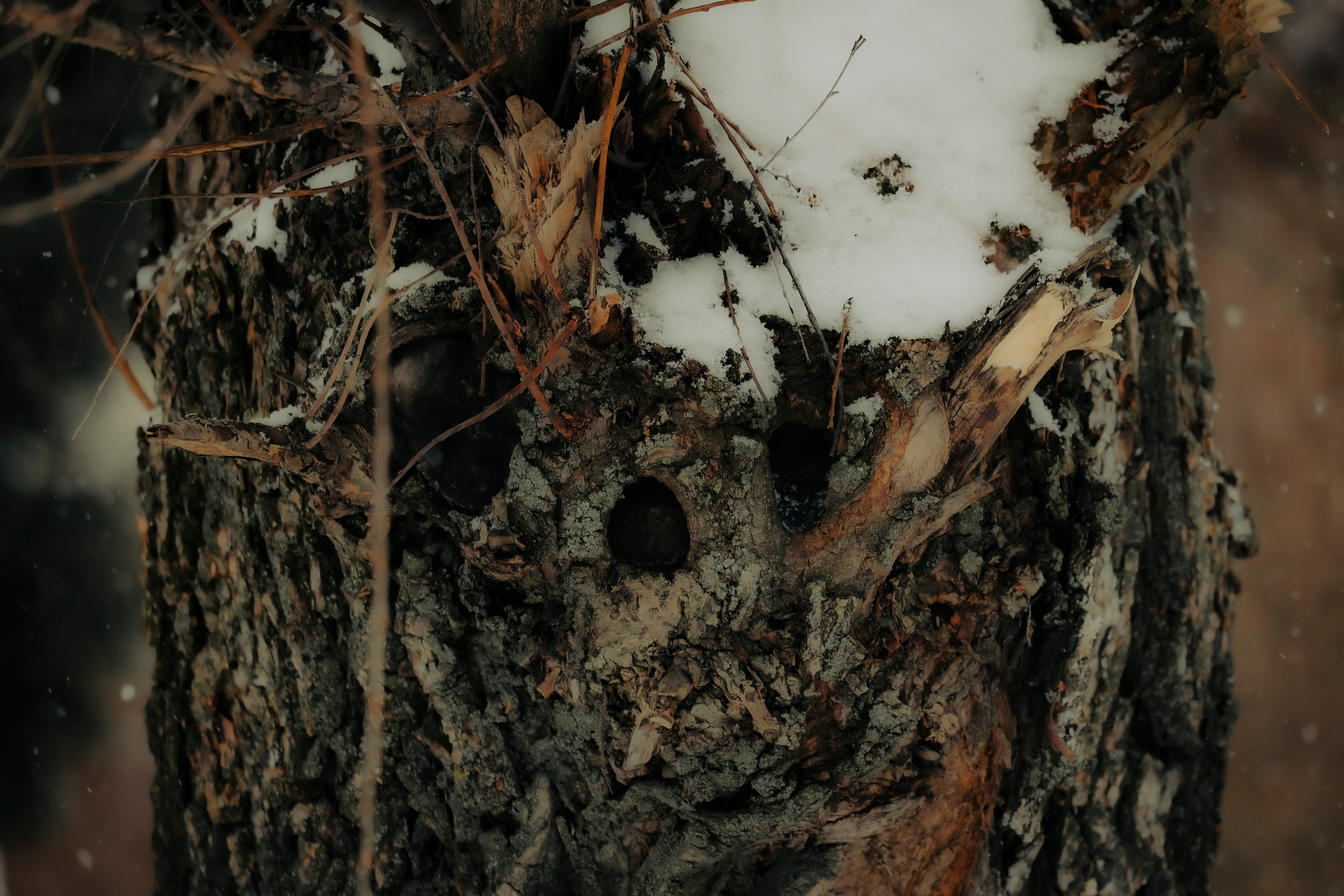 Живая планета. Фотограф художник модель Юра Козлов Москва