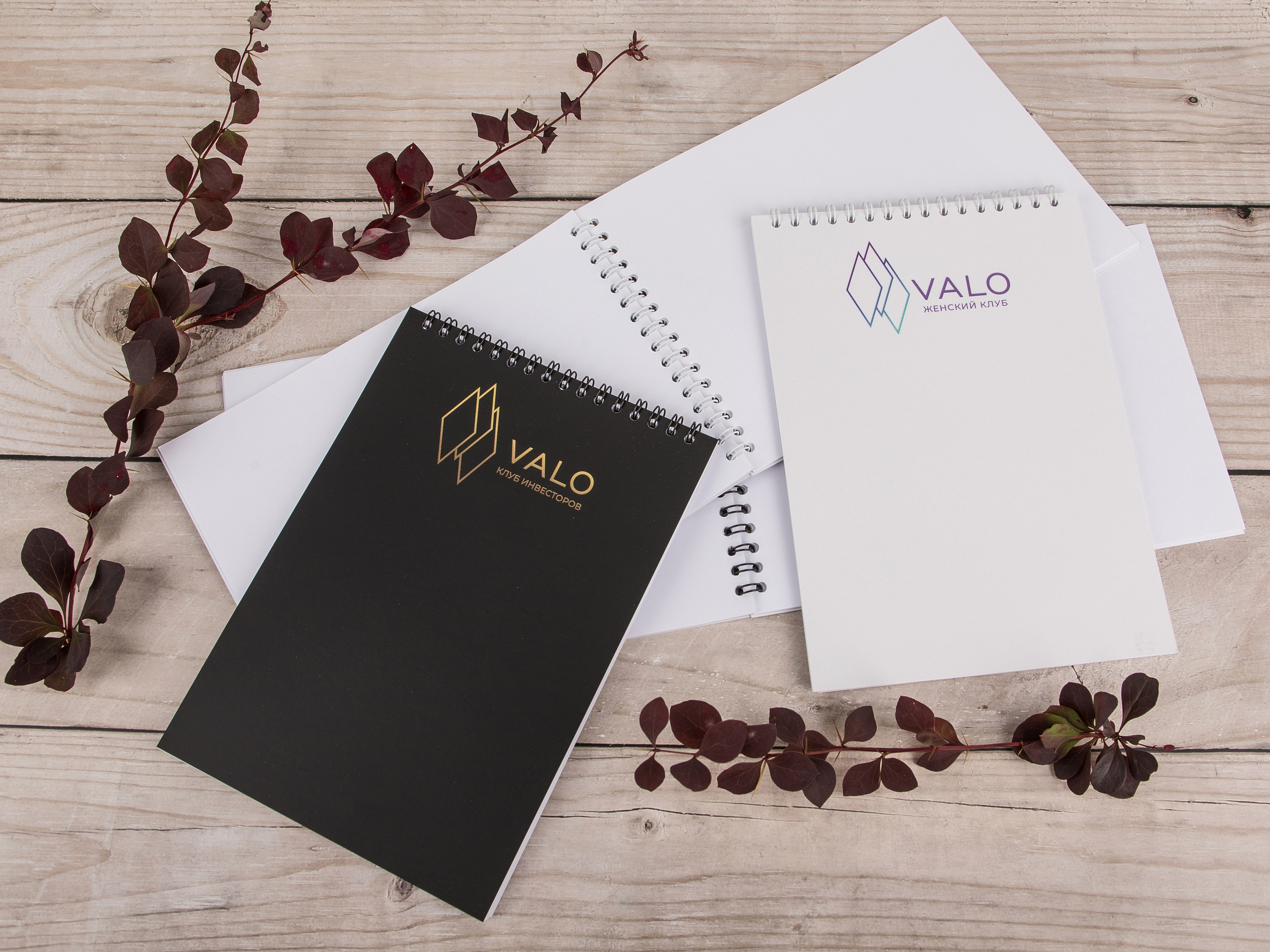 Типография Алес. Предметный и семейный фотограф в Санкт-Петербурге Катерина Стеклова