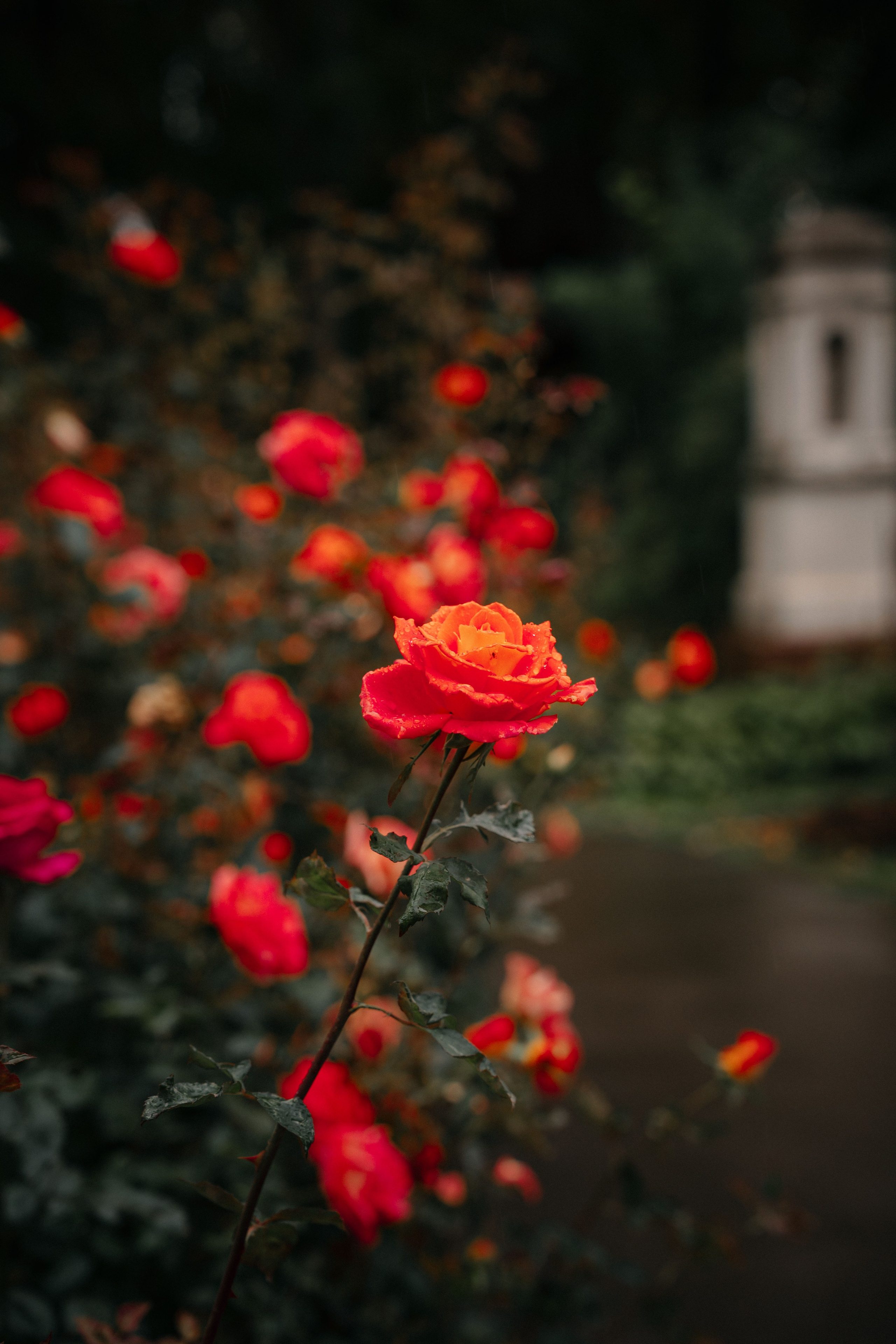 Крещение Павла