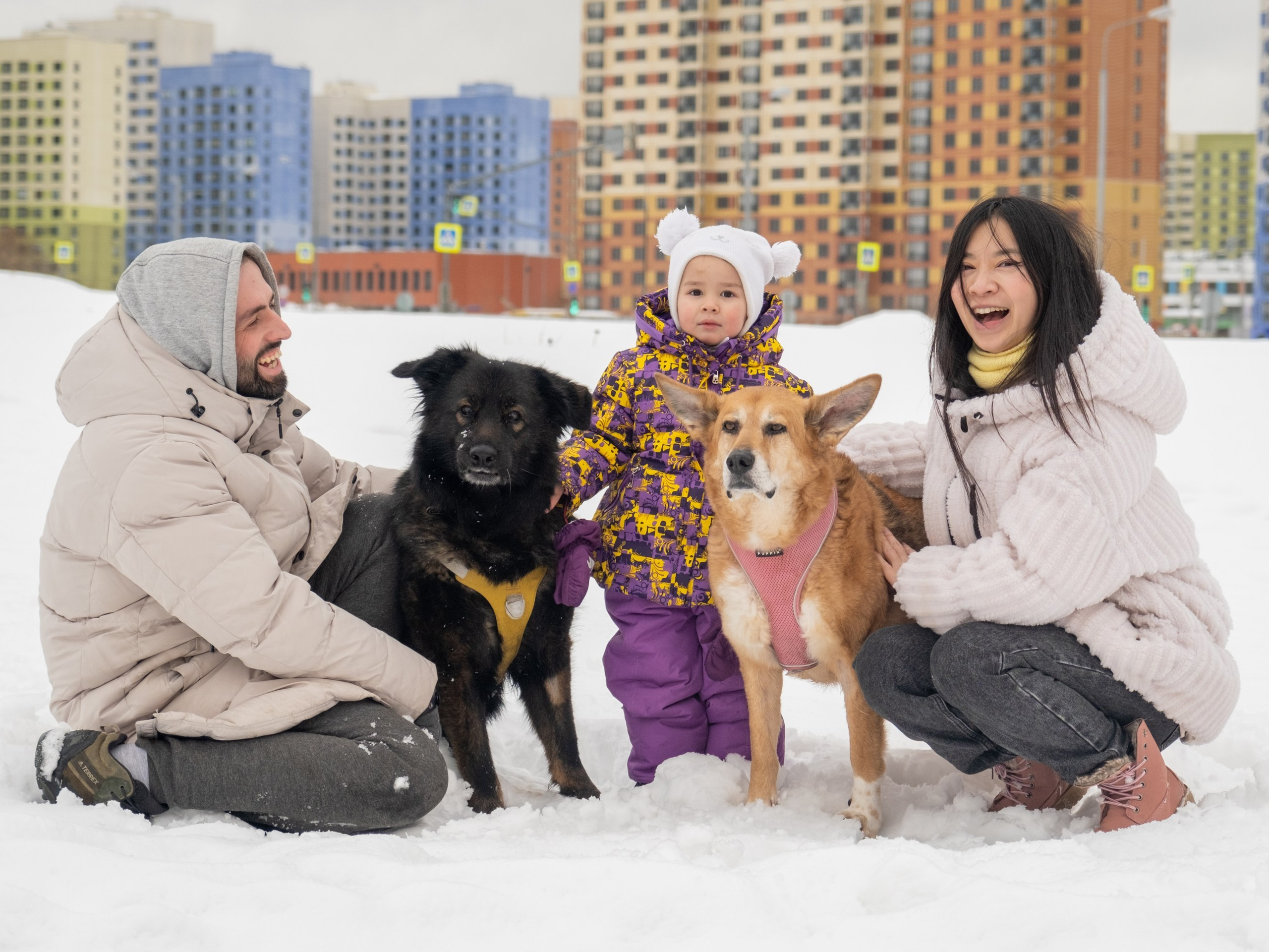 Прекрасная семья Кирилла и Лилии!. Зоофотограф, фотограф животных в Москве и области Дина Дамоцева