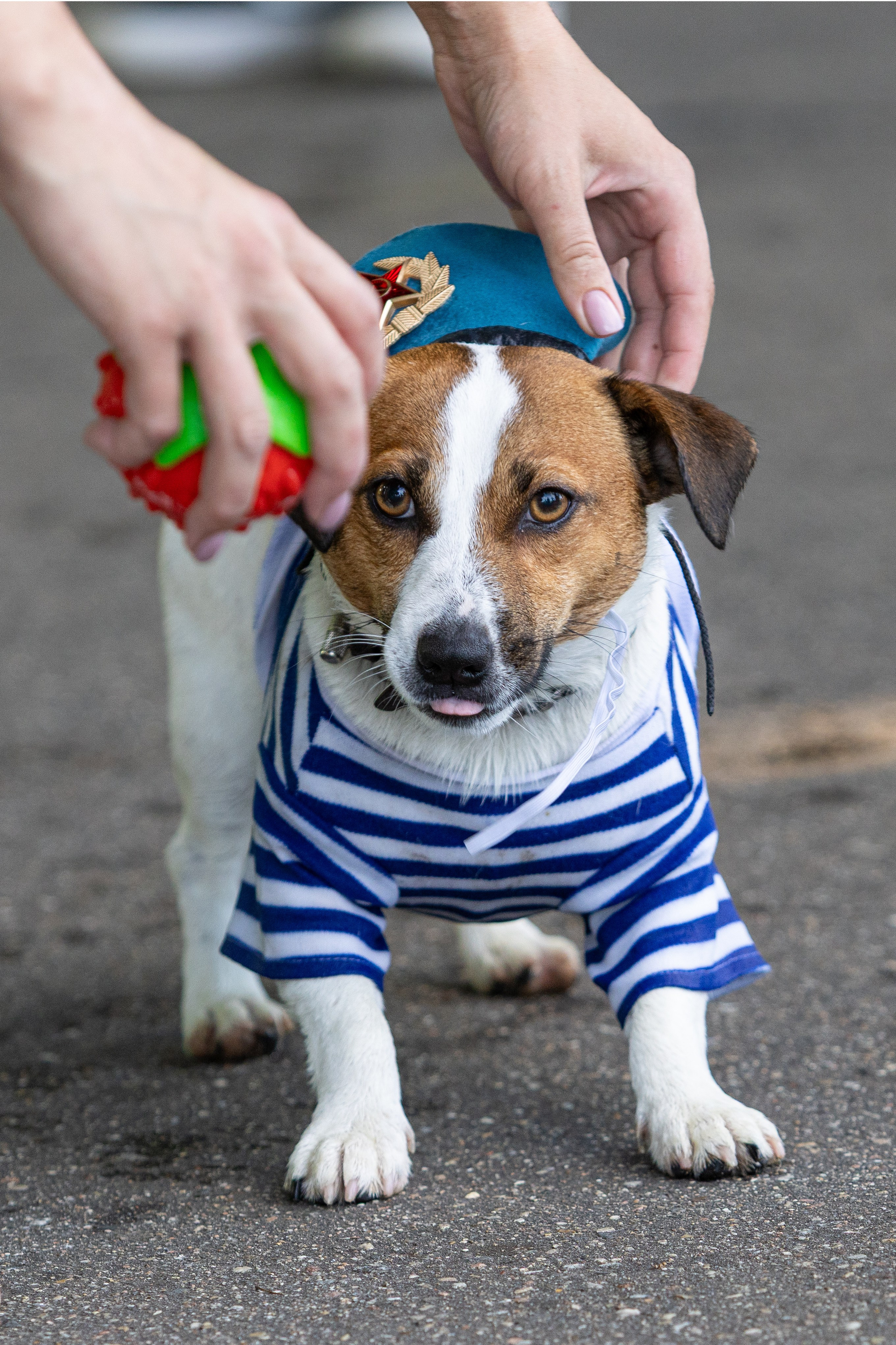 Про жизнь. Фотограф Сергей Ловкий