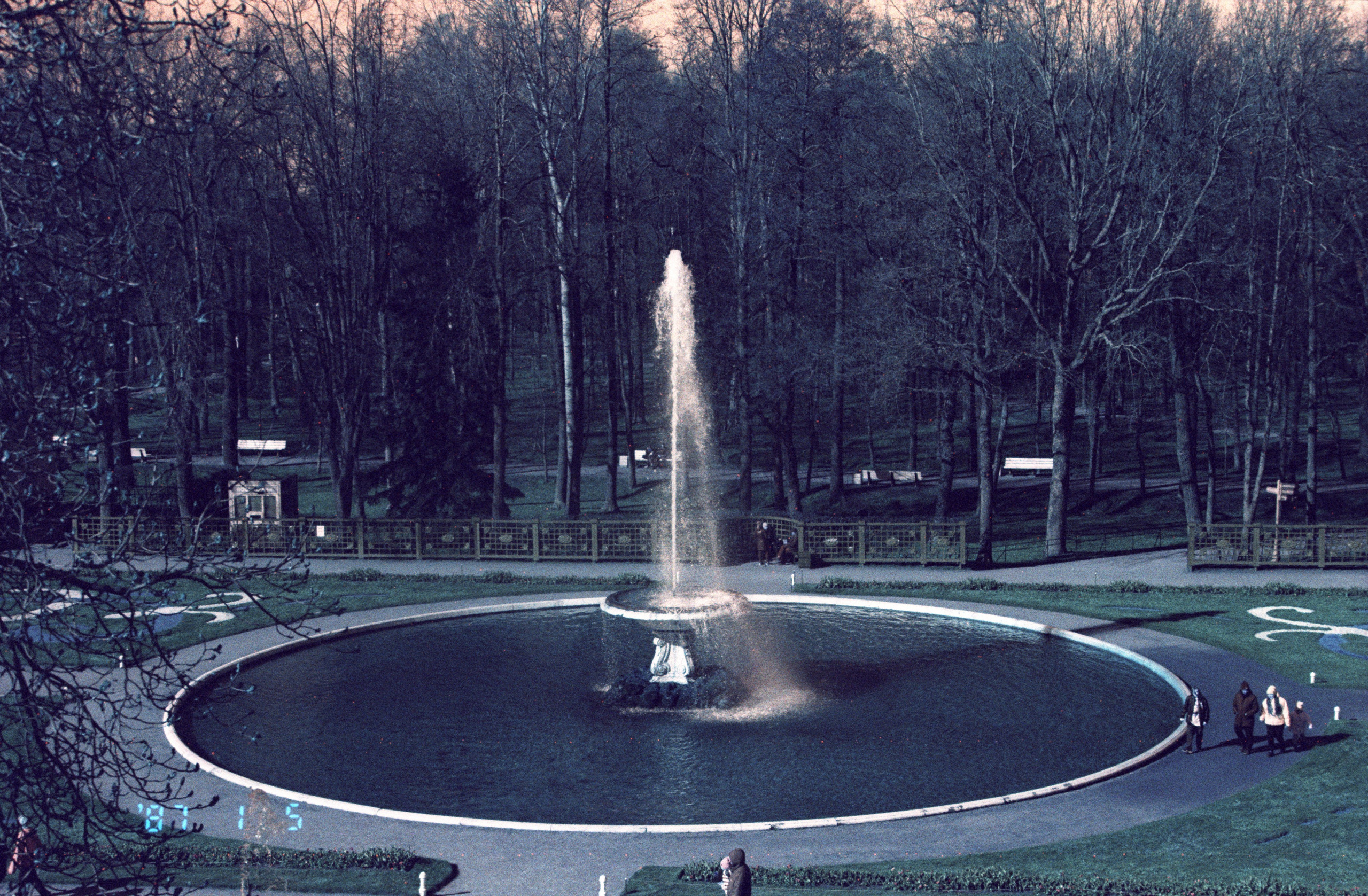 Двор. Фотограф в Санкт-Петербурге Березовский Даниил