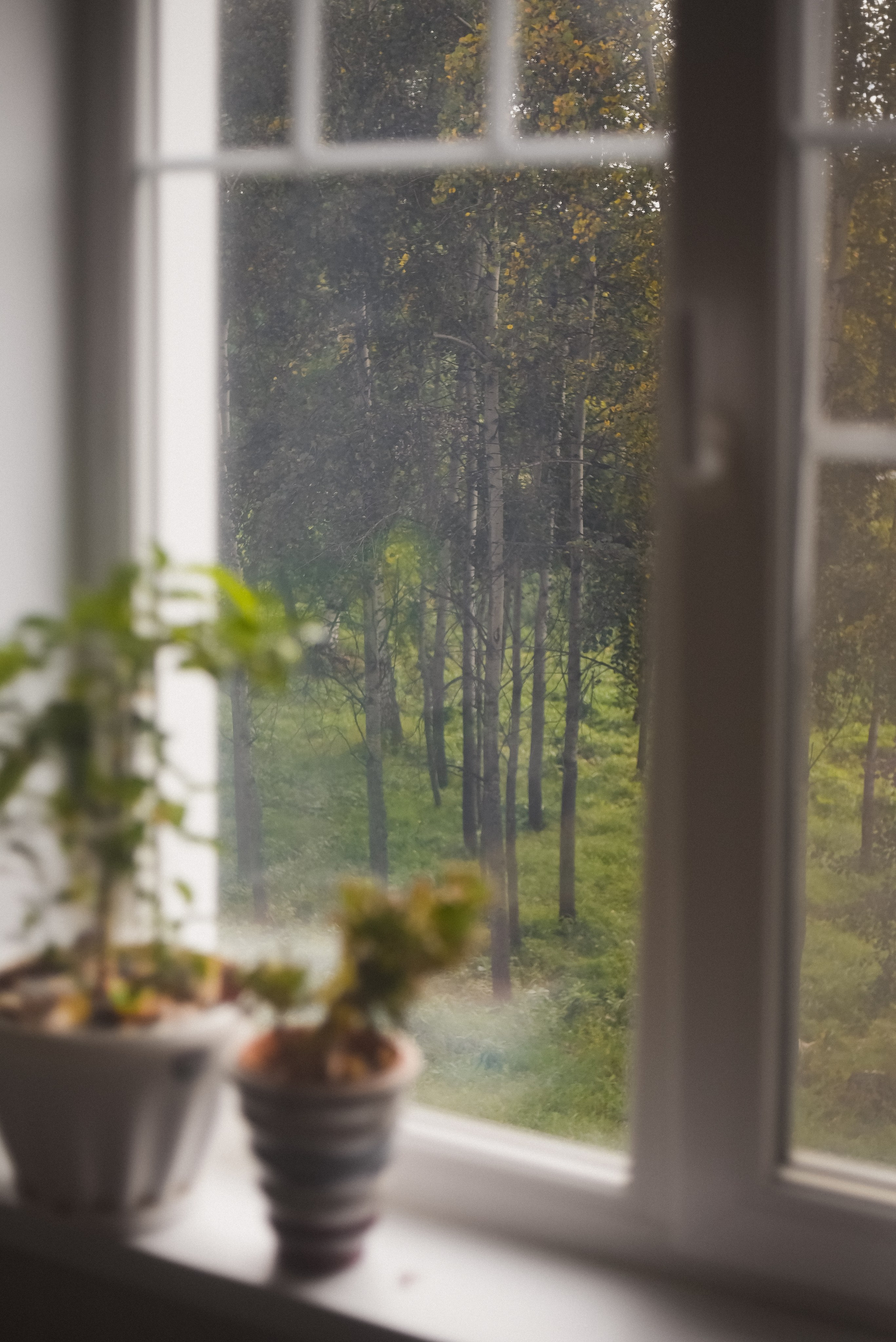 Любовь на просторах. Детский и семейный фотограф в Новосибирске Саша Дорошенко