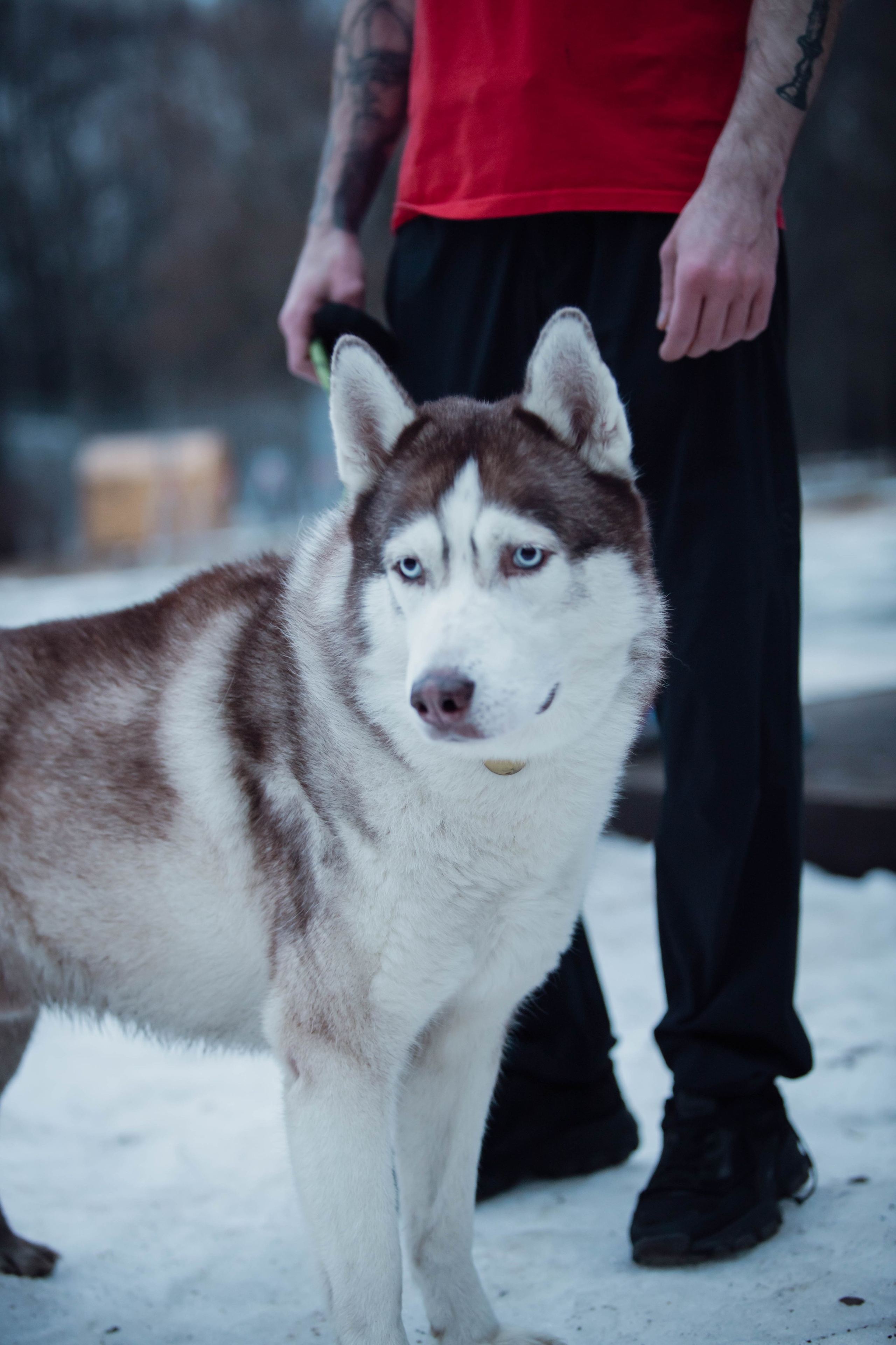 5 верст/декабрь. Александра Мельниченко/ Бегающий фотограф
