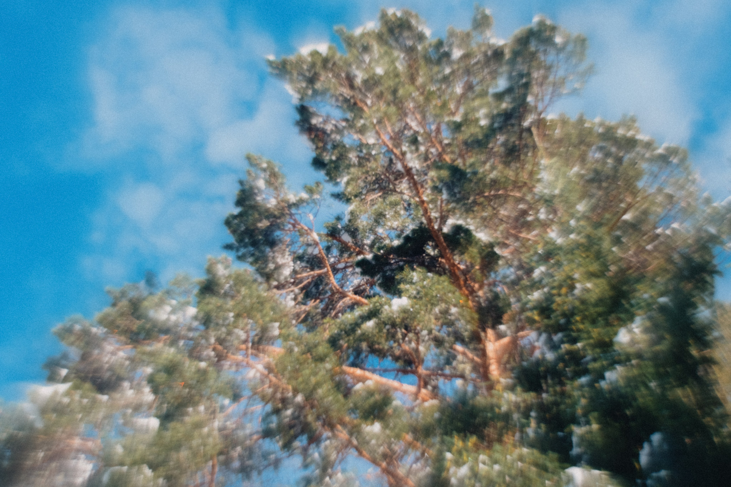 Южный Урал. Окрестности Ялангаса | Май 2024. Andrew Sozonov visual artist