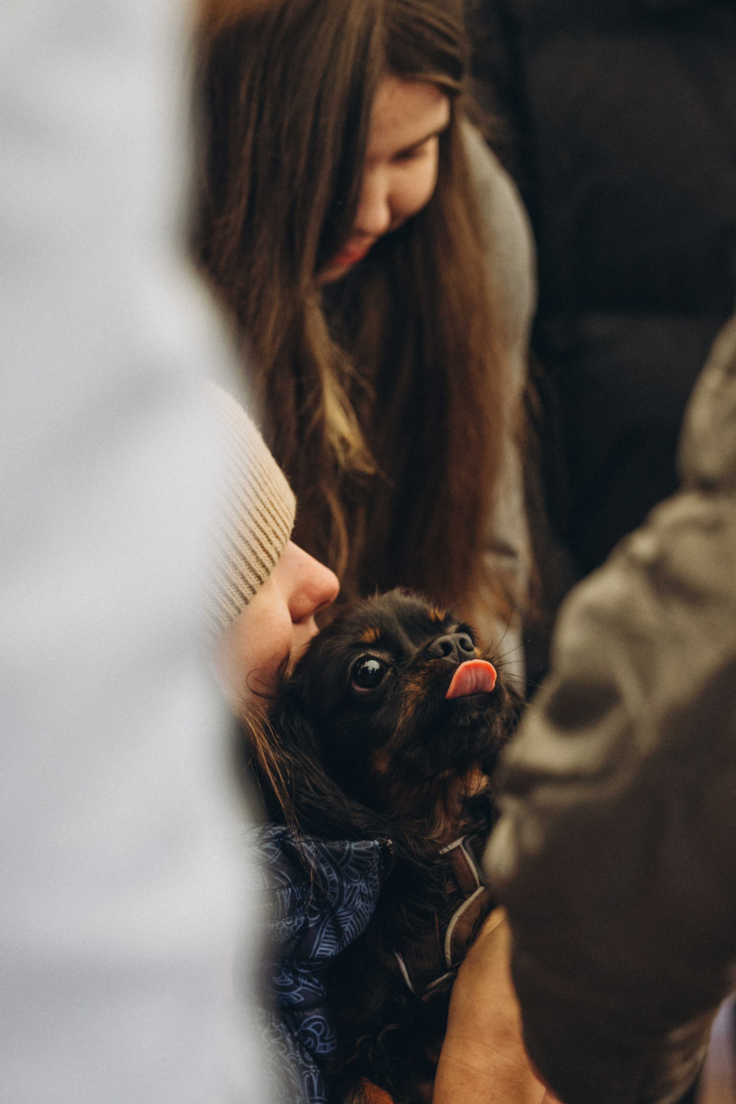 Встреча ККЧС. Фотограф анималист Осипчикова Мария