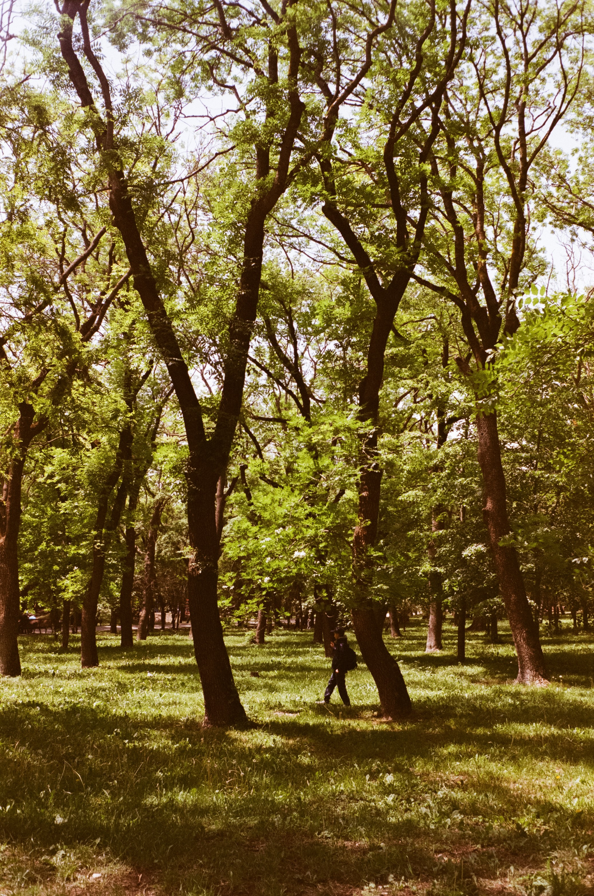 Ессентуки / 4 мая 2024 года / Minox 35GT / Konica VS Super 200