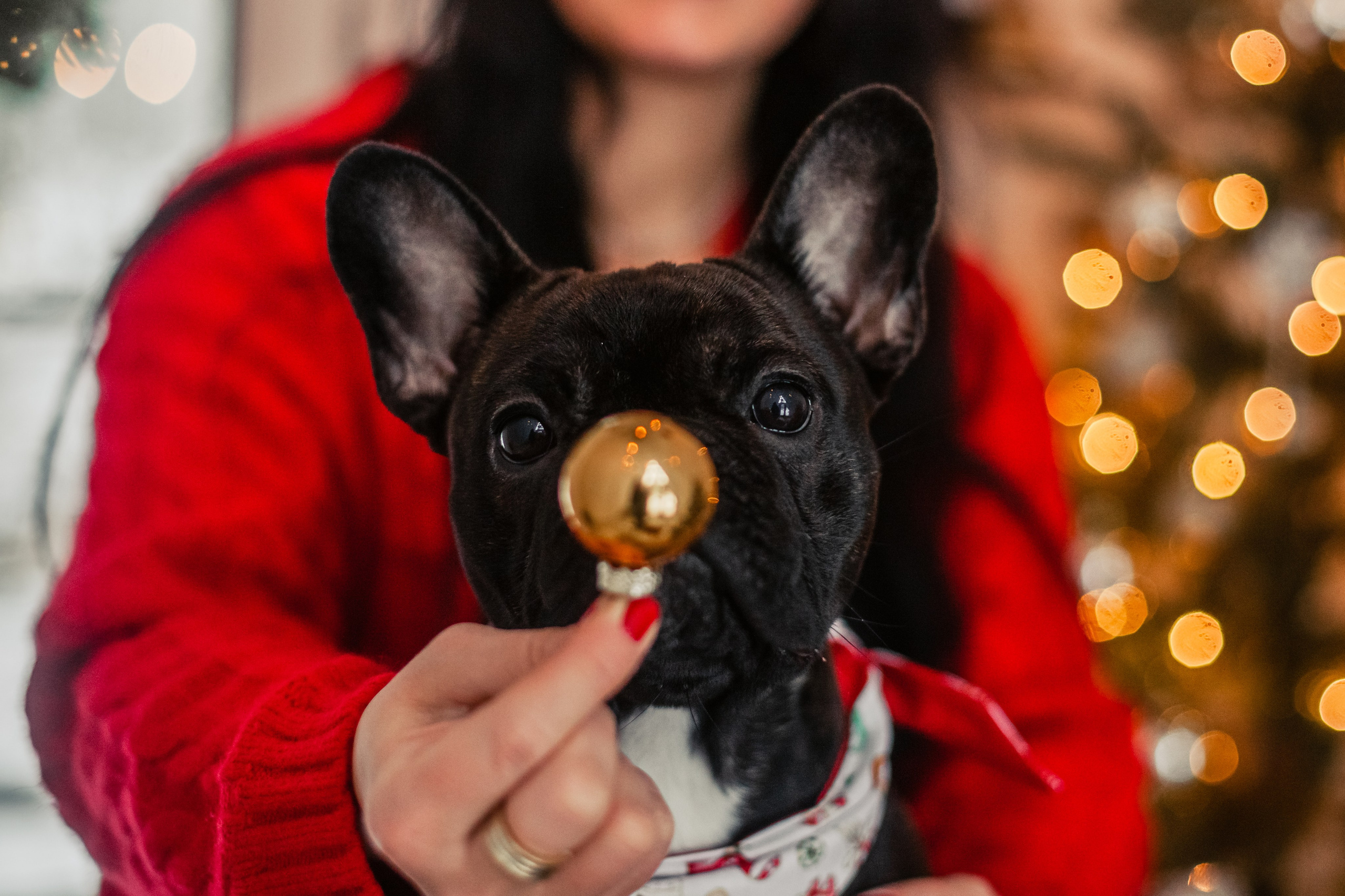 Кантри Хаус. Фотограф-анималист Татьяна Степанова
