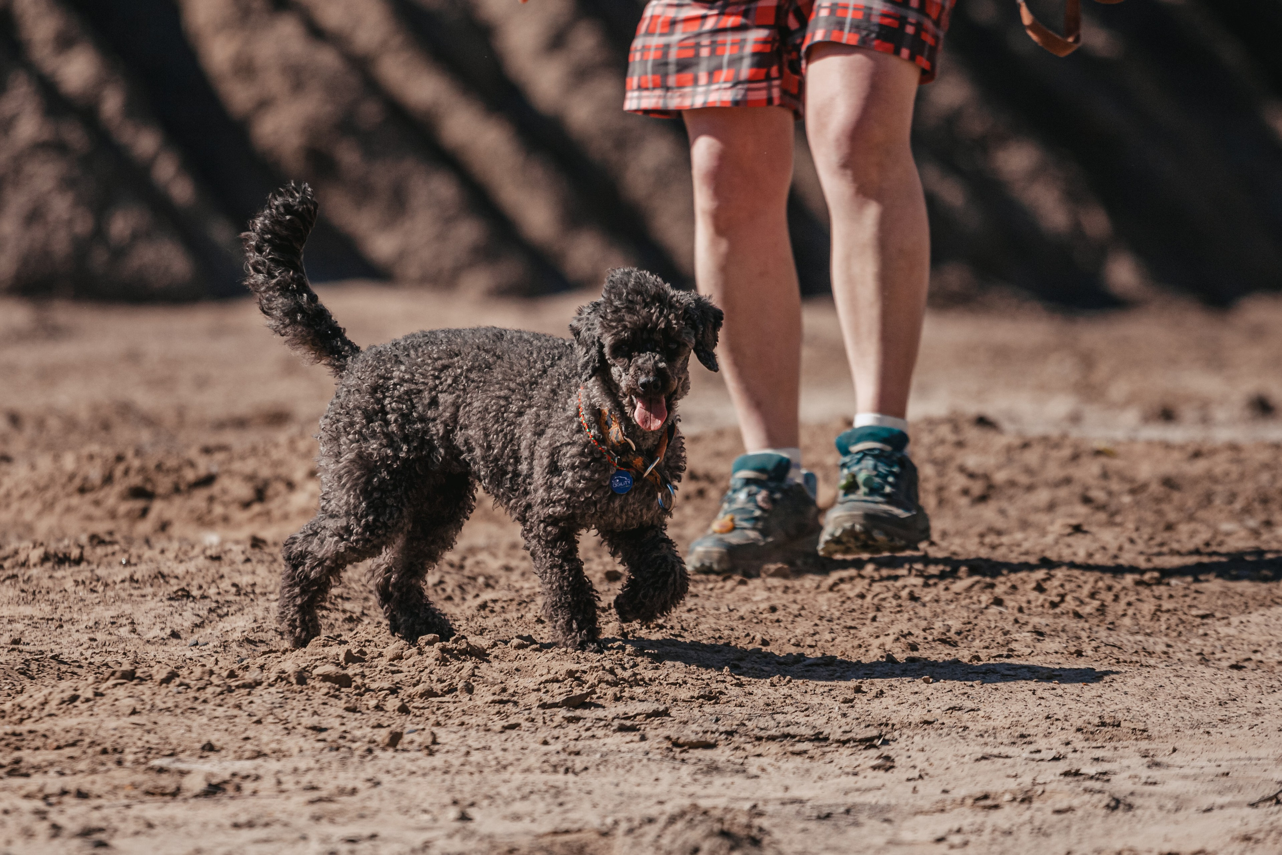 Кондуки. Фотограф-анималист Татьяна Степанова