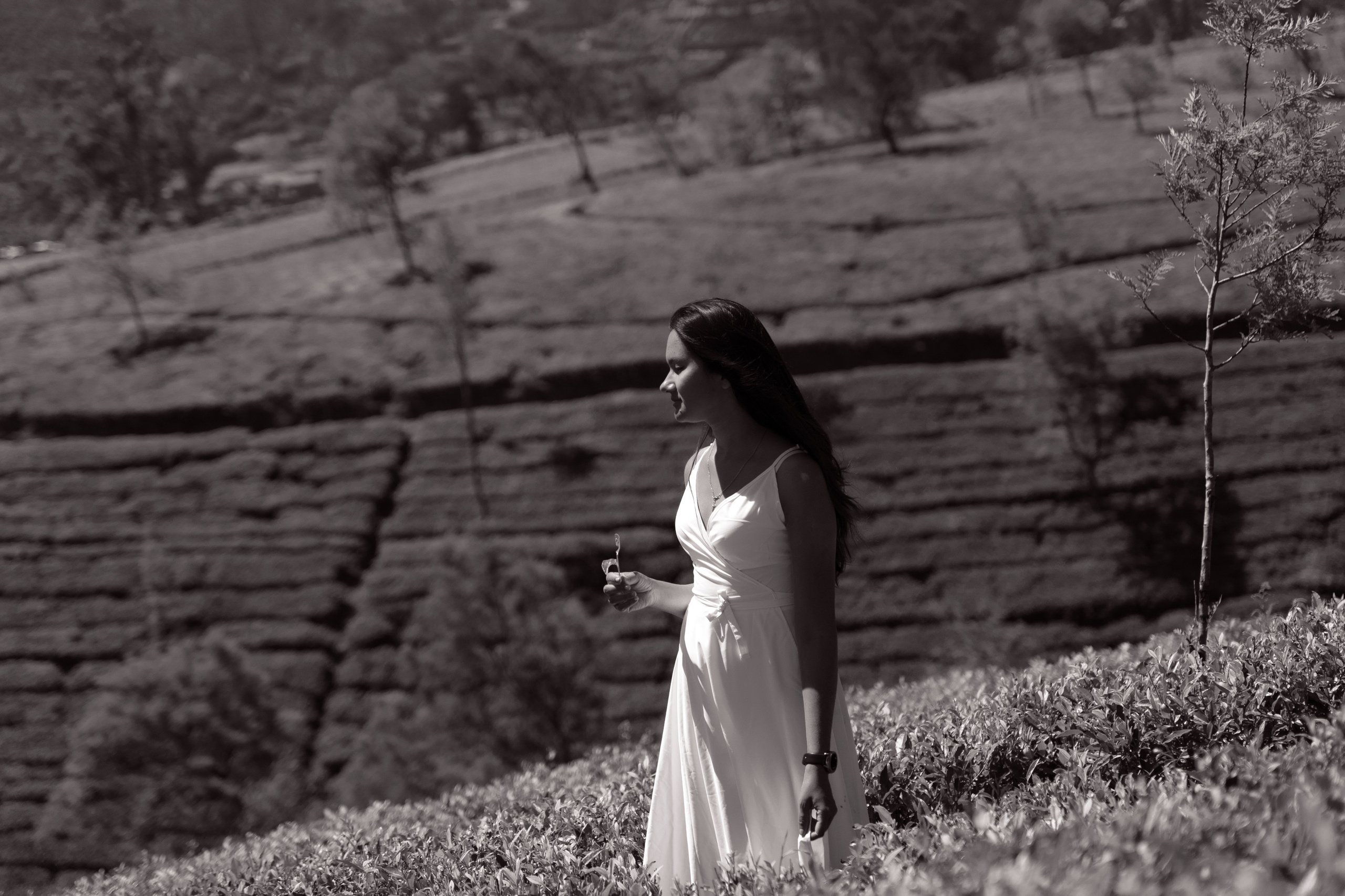 Promo content shooting for Ceylon Forward Tours