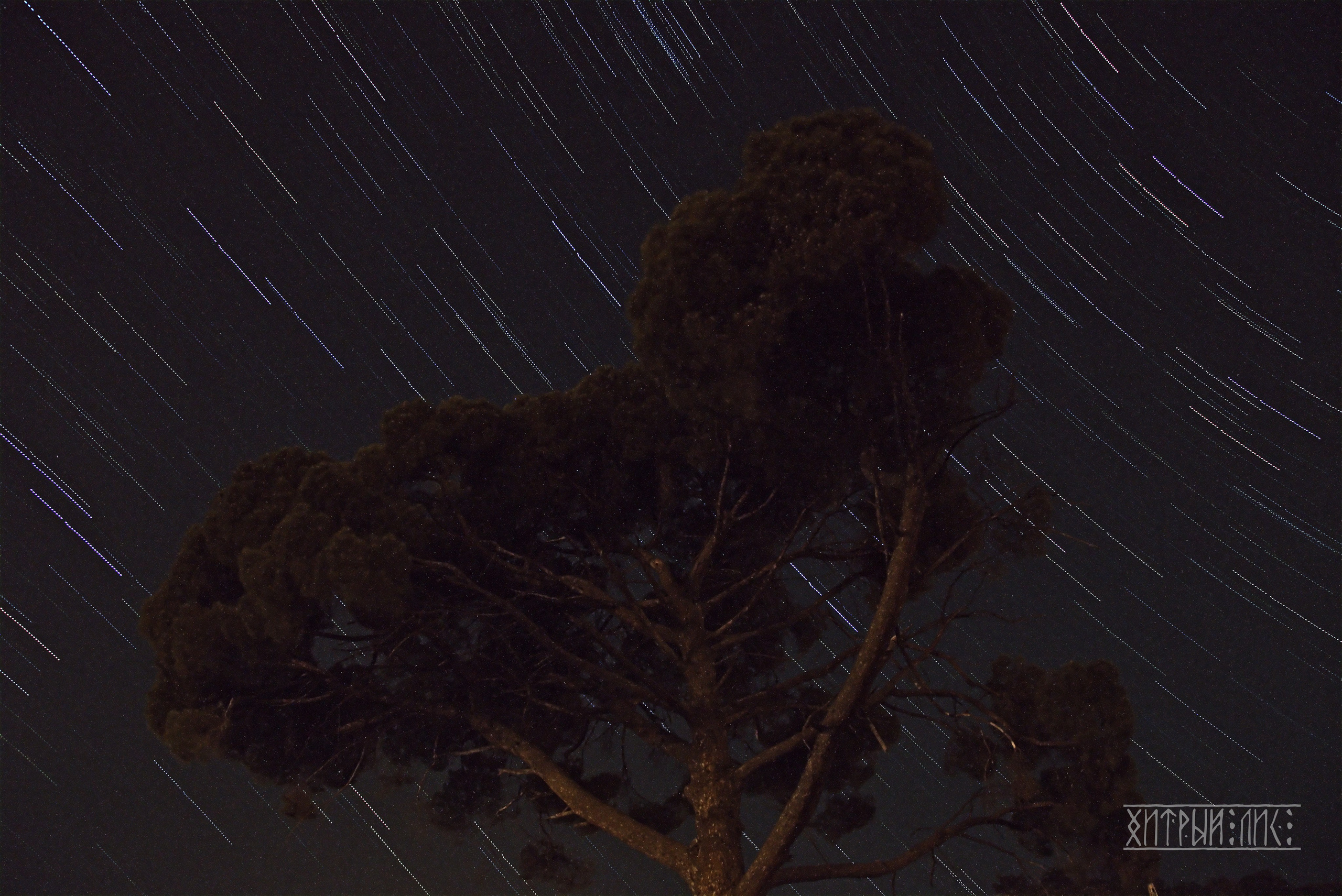 Кипр. Фотограф-путешественник Самойлов Максим «Sly Fox»