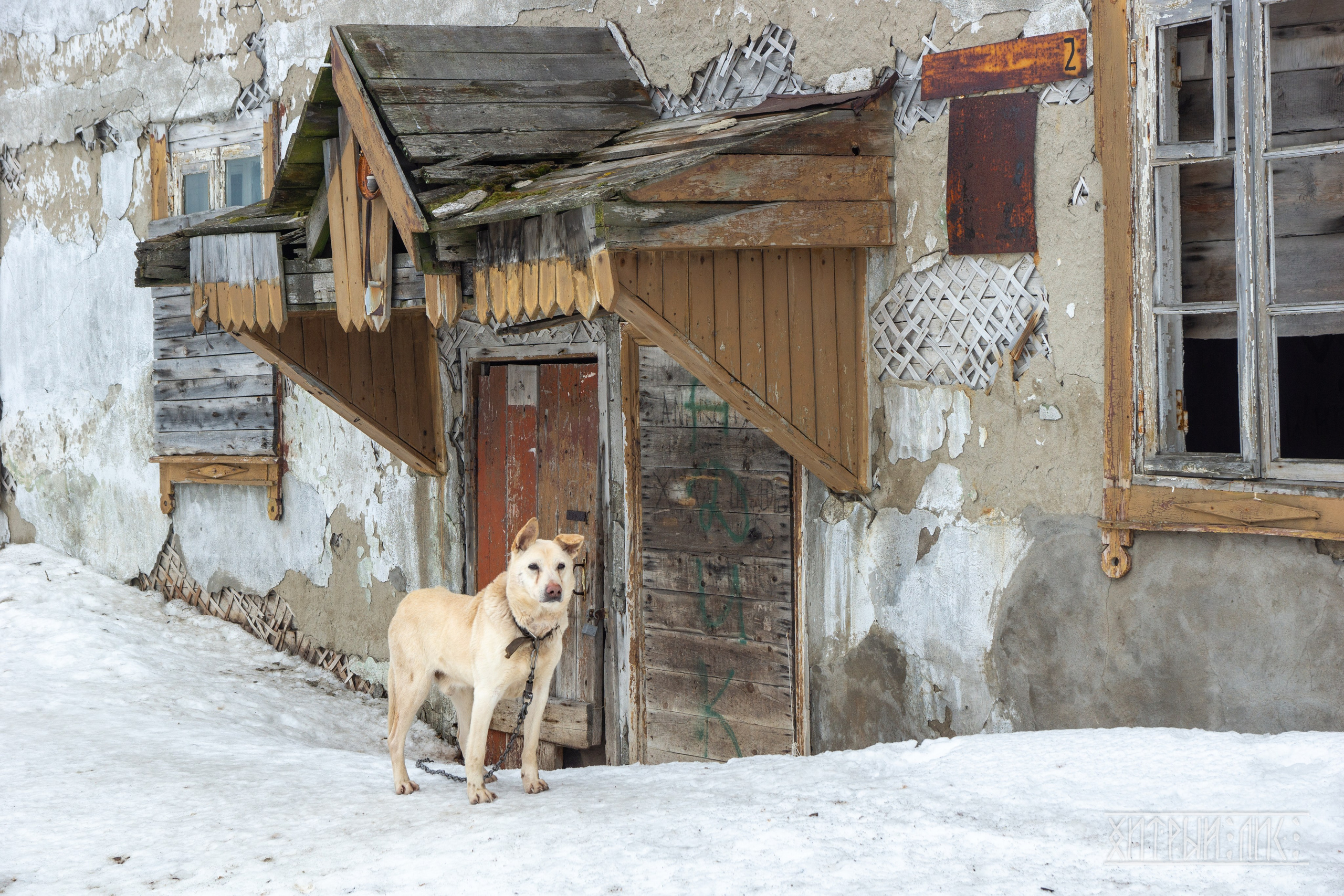 Мурманская обл. Фотограф-путешественник Самойлов Максим «Sly Fox»