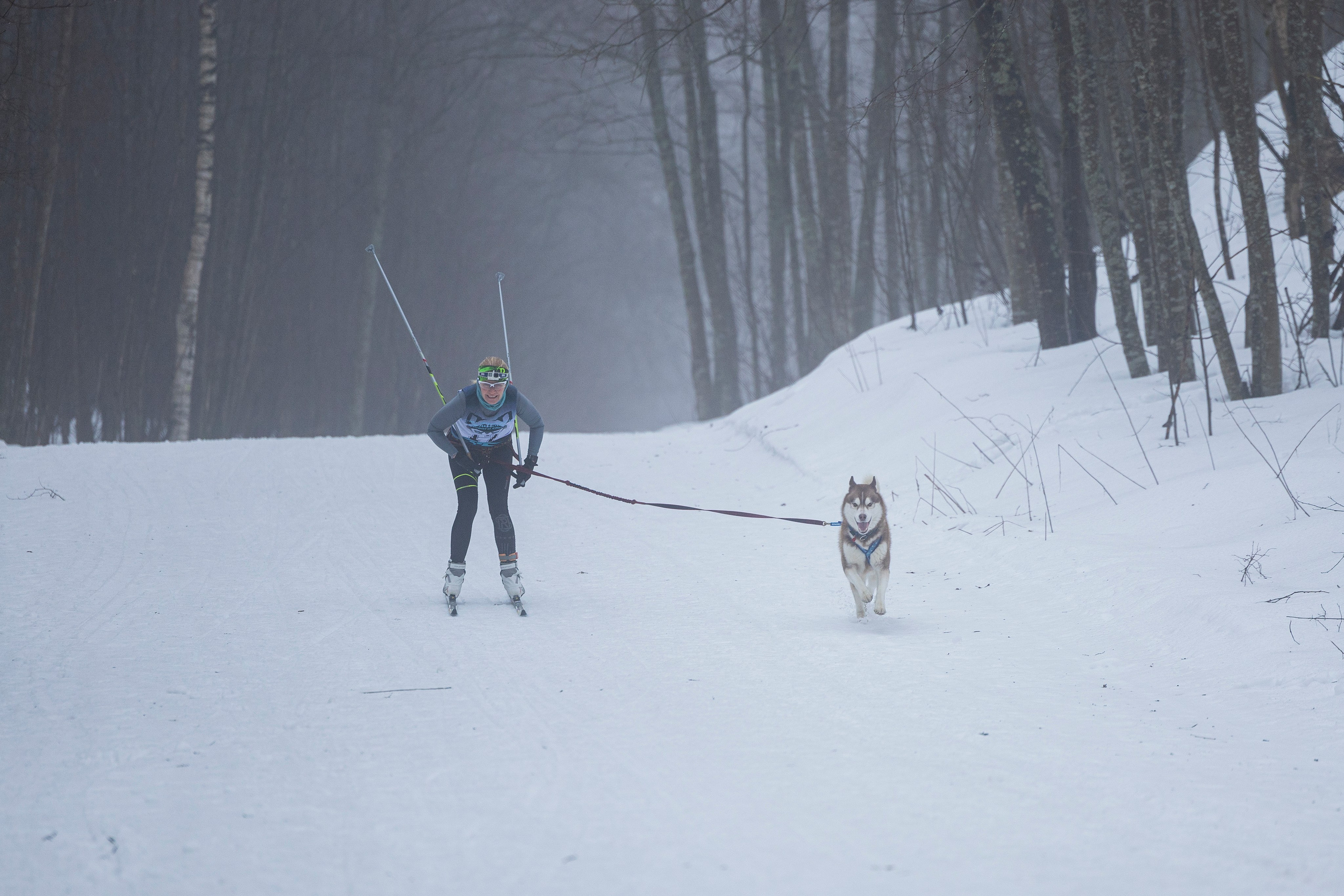 Зимний Чемпионат Санкт-Петербурга по ездовому спорту. Фотограф-анималист Анна Маринич