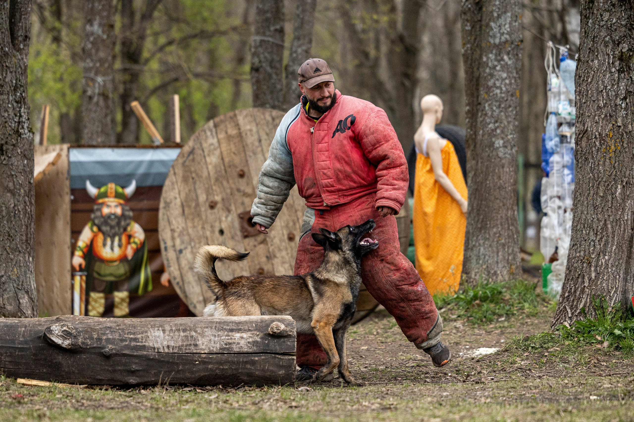Квалификационные состязания по мондьорингу г. Вологда 11.05.24. Фотограф-анималист Анна Маринич
