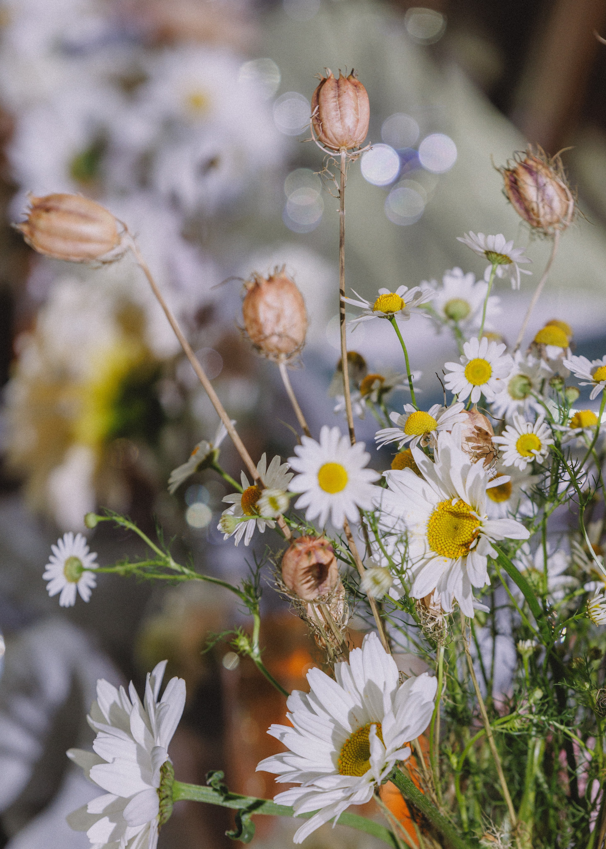 RUSSTYLE. Свадебный фотограф Владислав Адышкин