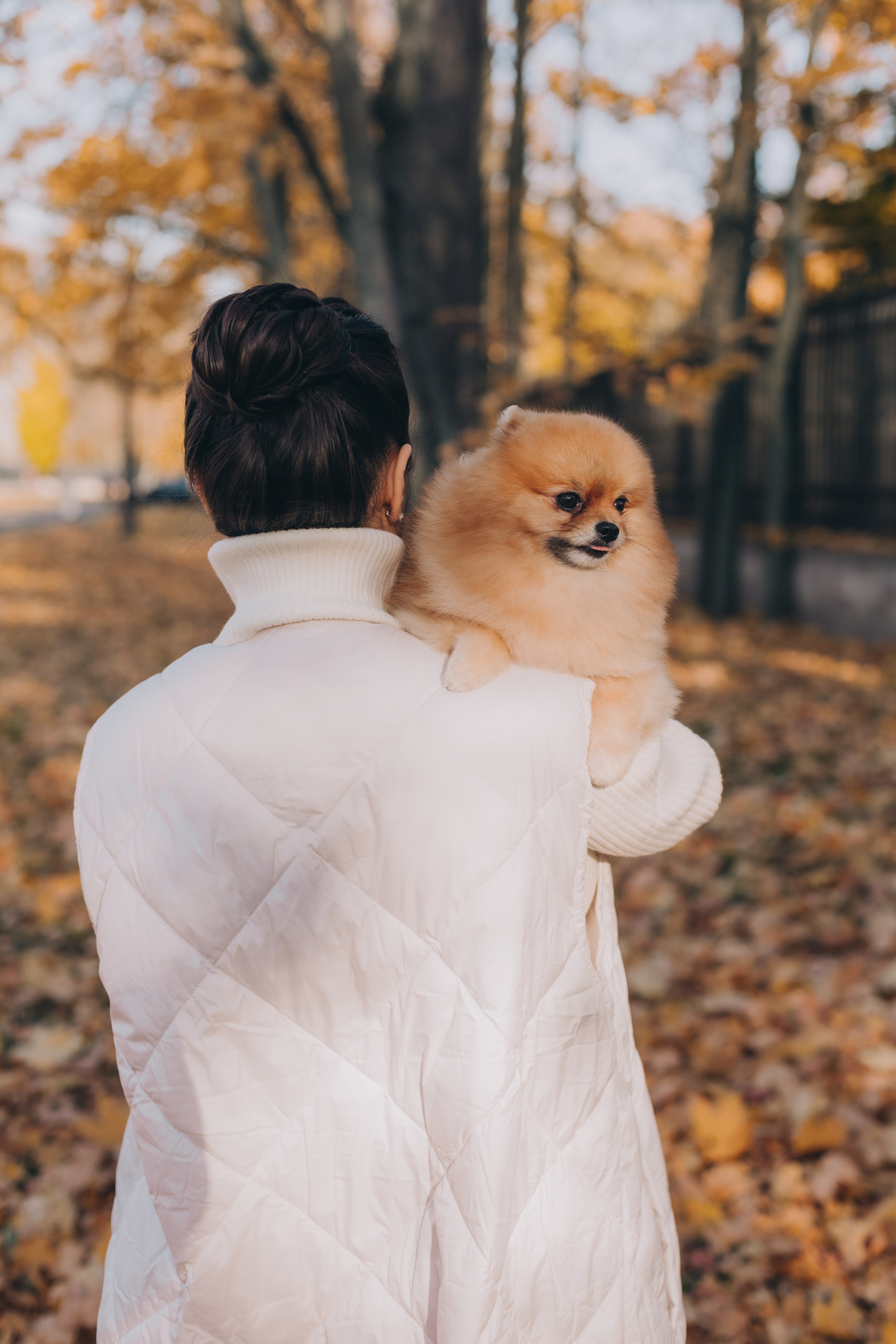 Осень. В ожидании. Семейный фотограф в Санкт-Петербурге Любовь Савкина