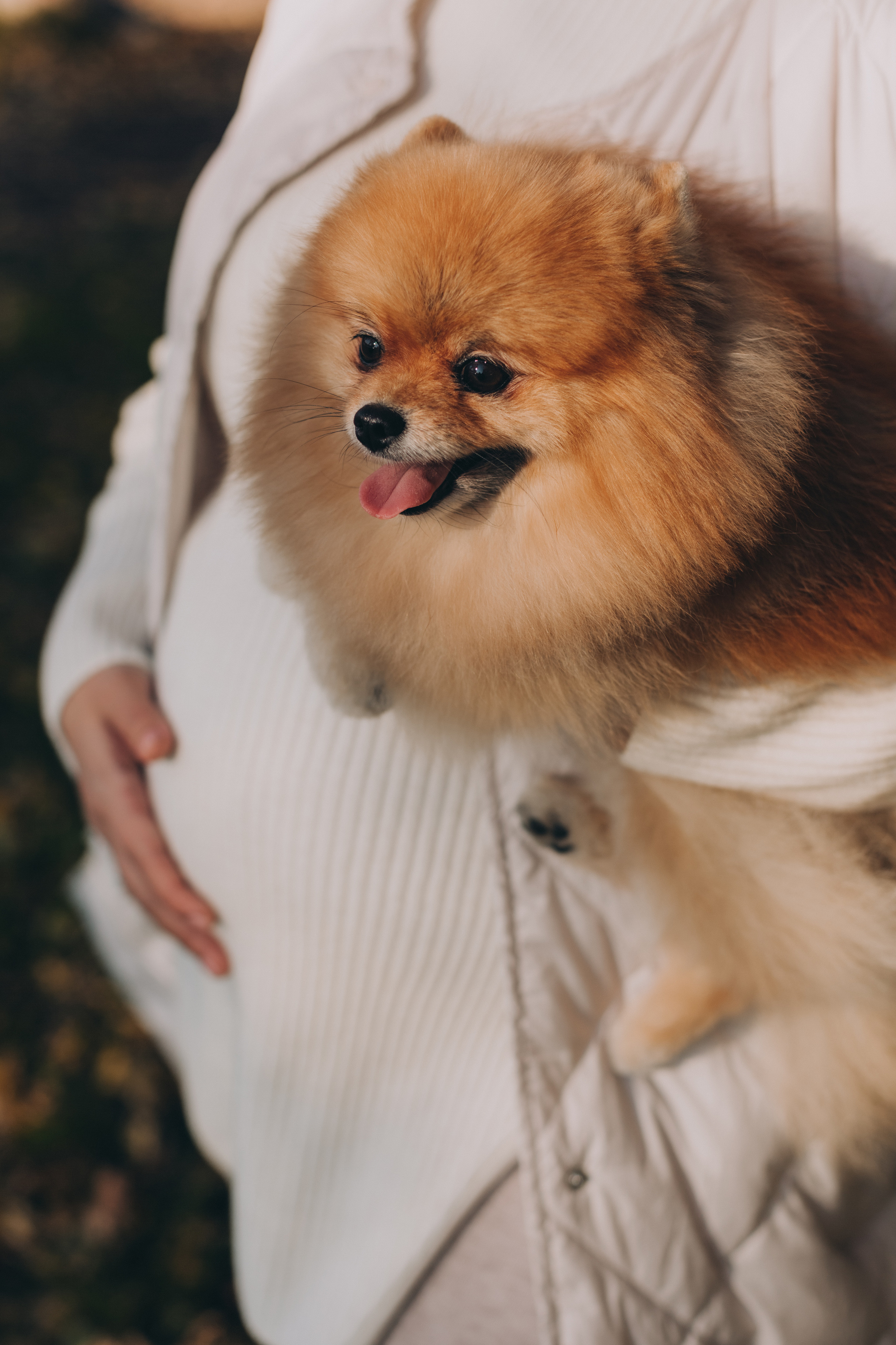 Осень. В ожидании. Семейный фотограф в Санкт-Петербурге Любовь Савкина