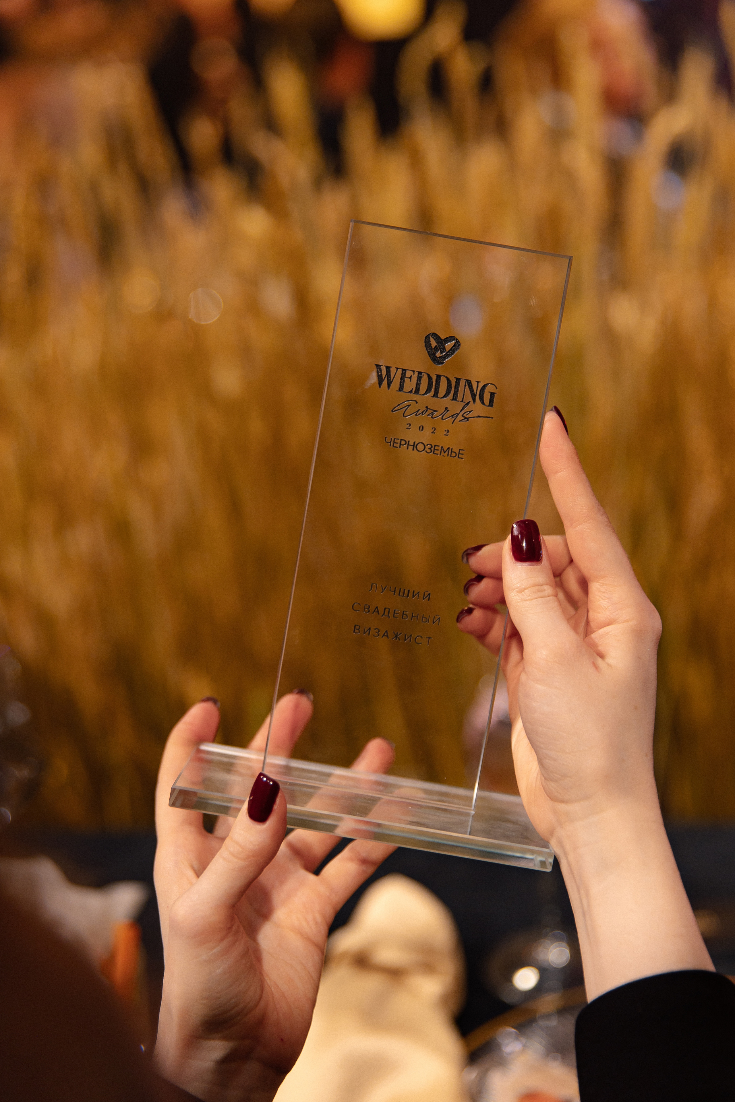 Wedding Awards Chernozemie. Свадебный фотограф Москва и Санкт-Петерург Артем Мамонов