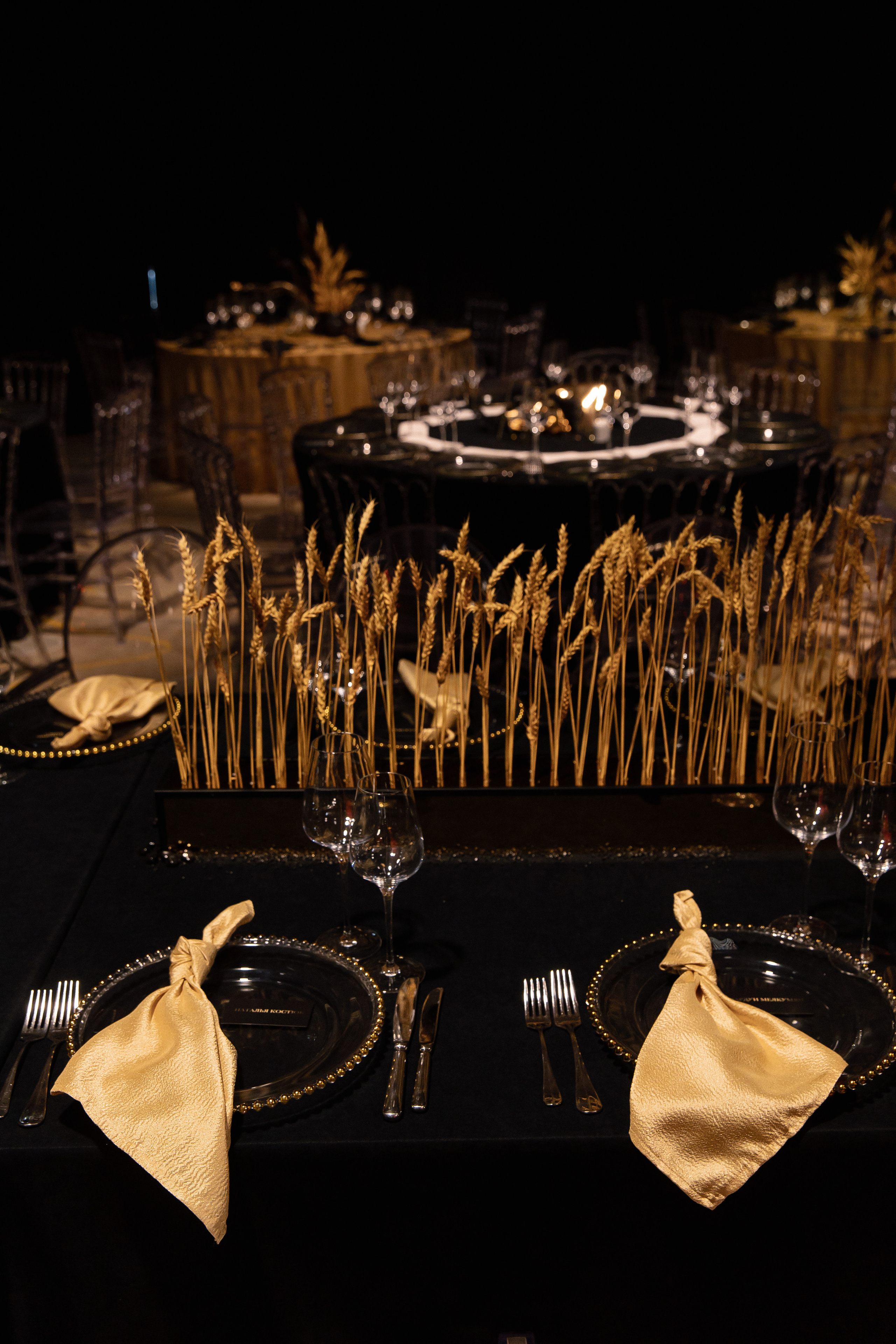 Wedding Awards Chernozemie. Свадебный фотограф Москва и Санкт-Петерург Артем Мамонов