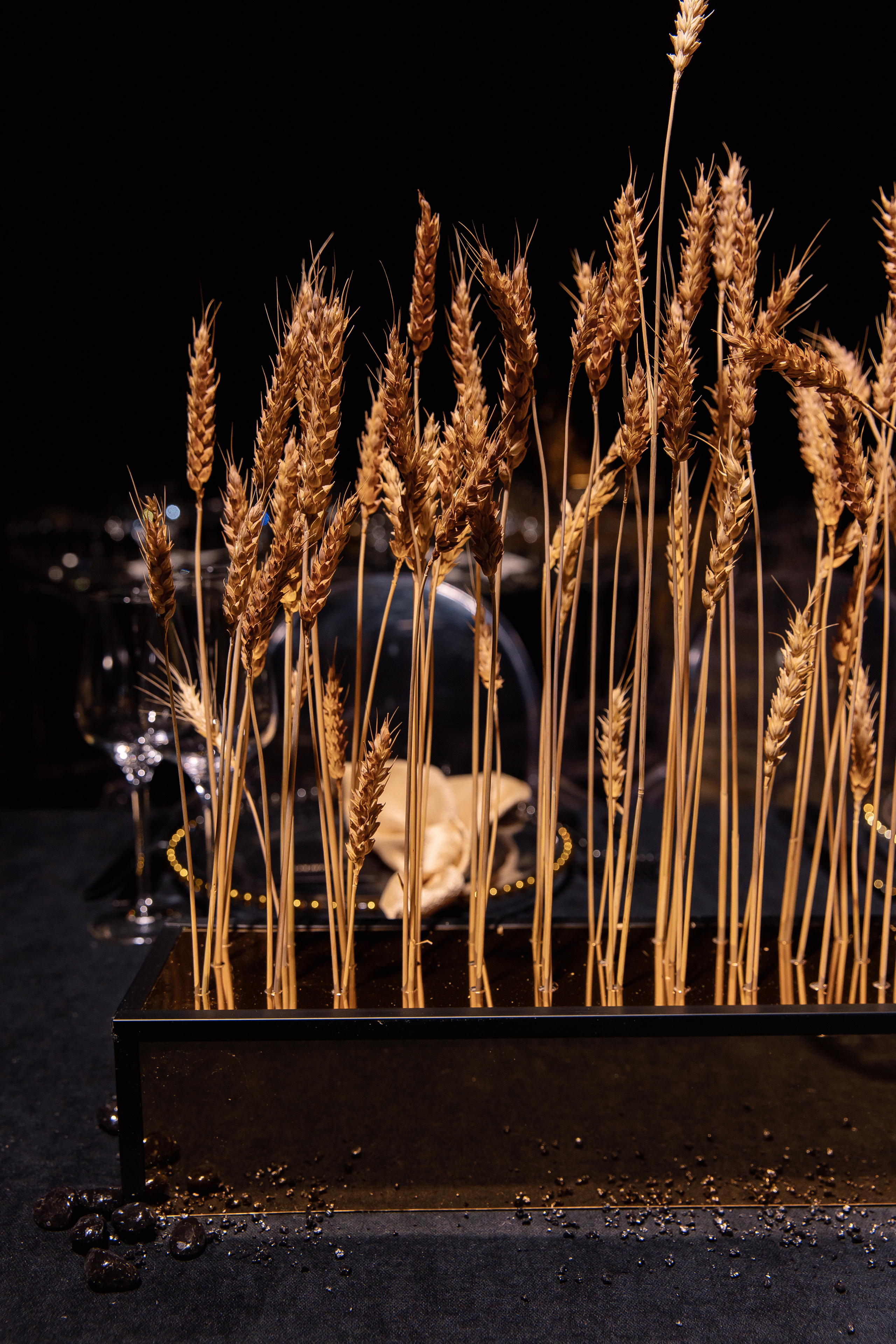 Wedding Awards Chernozemie. Свадебный фотограф Москва и Санкт-Петерург Артем Мамонов