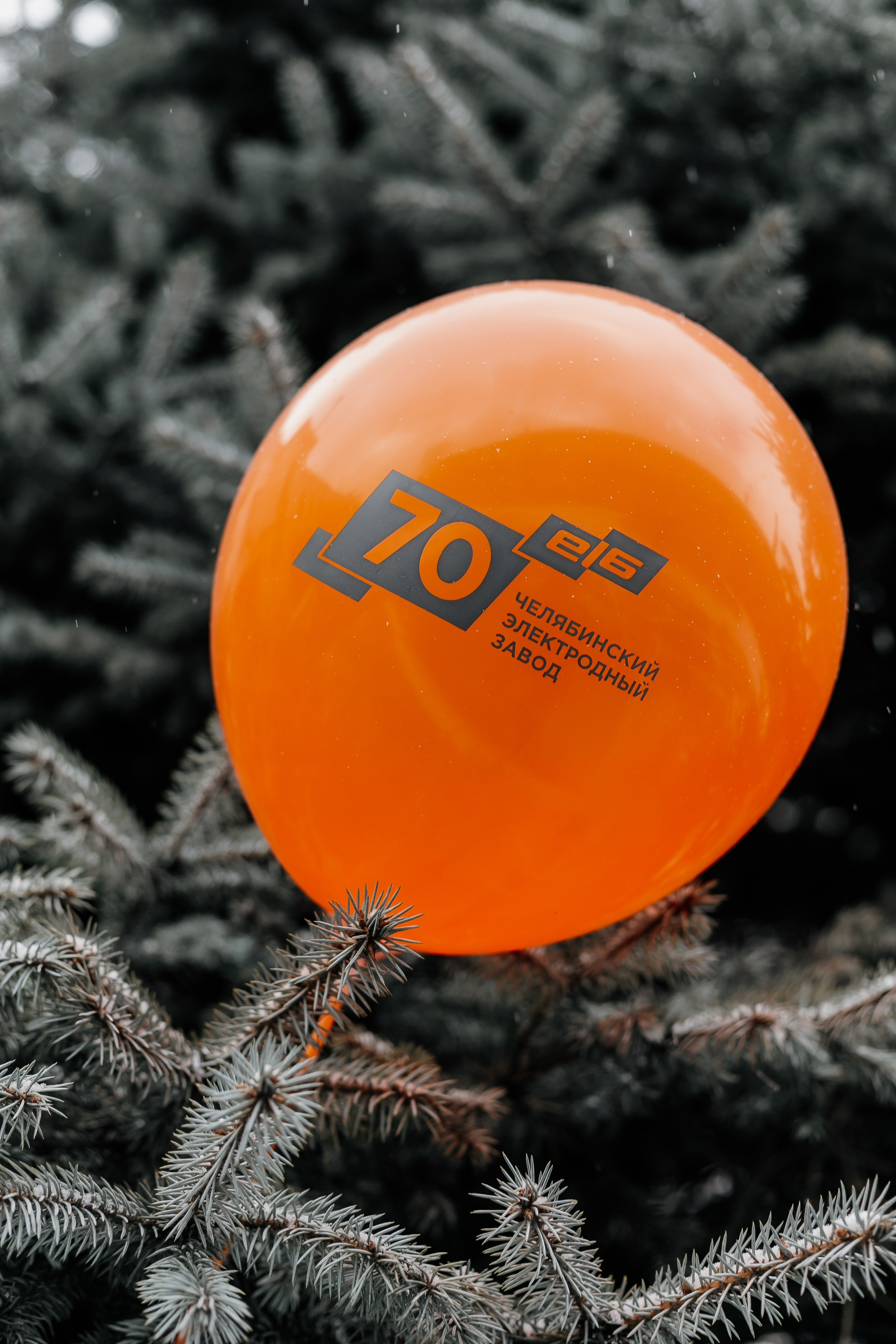 EI6. Фотограф Иван Гуляев