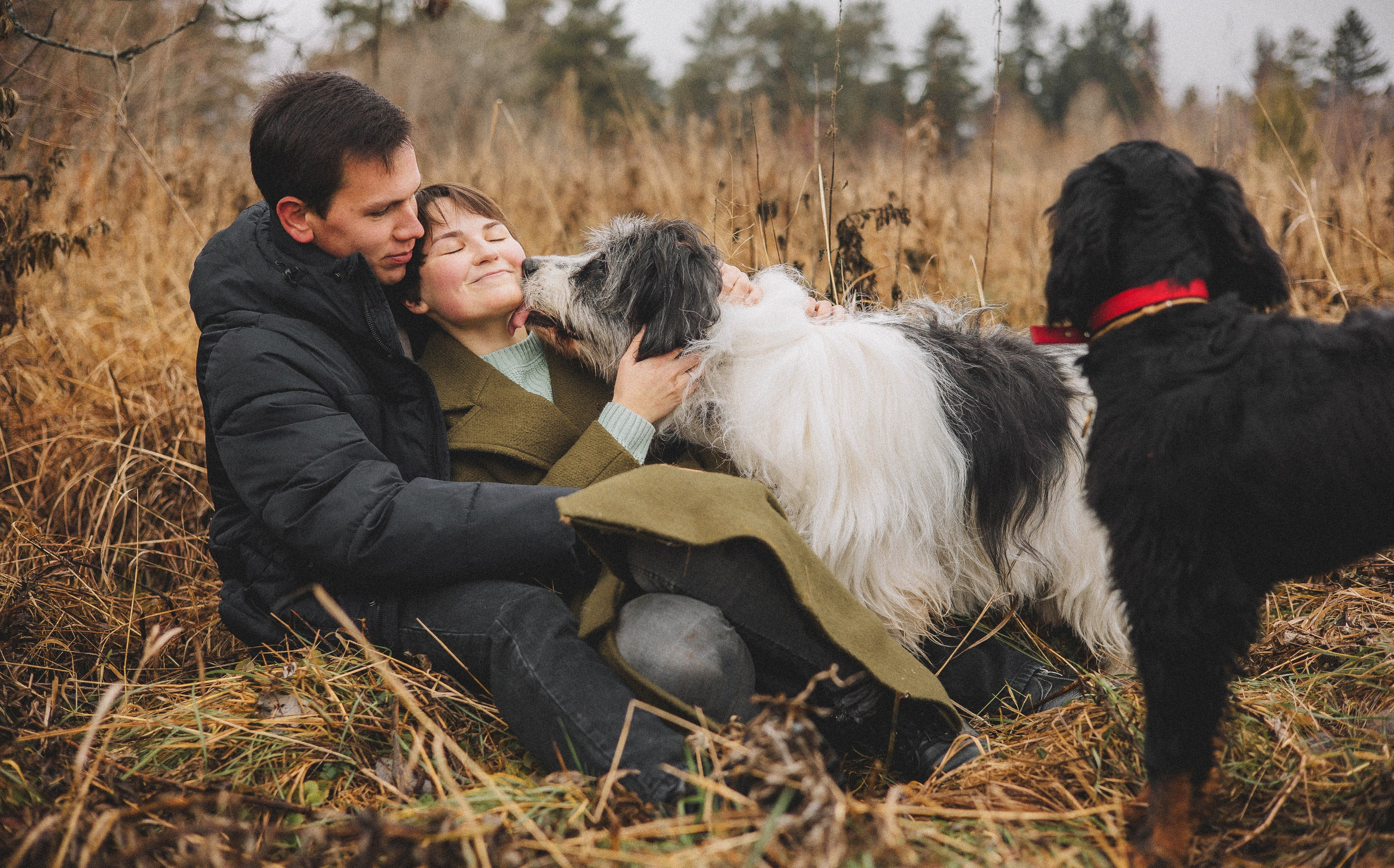 Даша, Глеб, Барс и Бруно. Фотограф-анималист Богданова Полина
