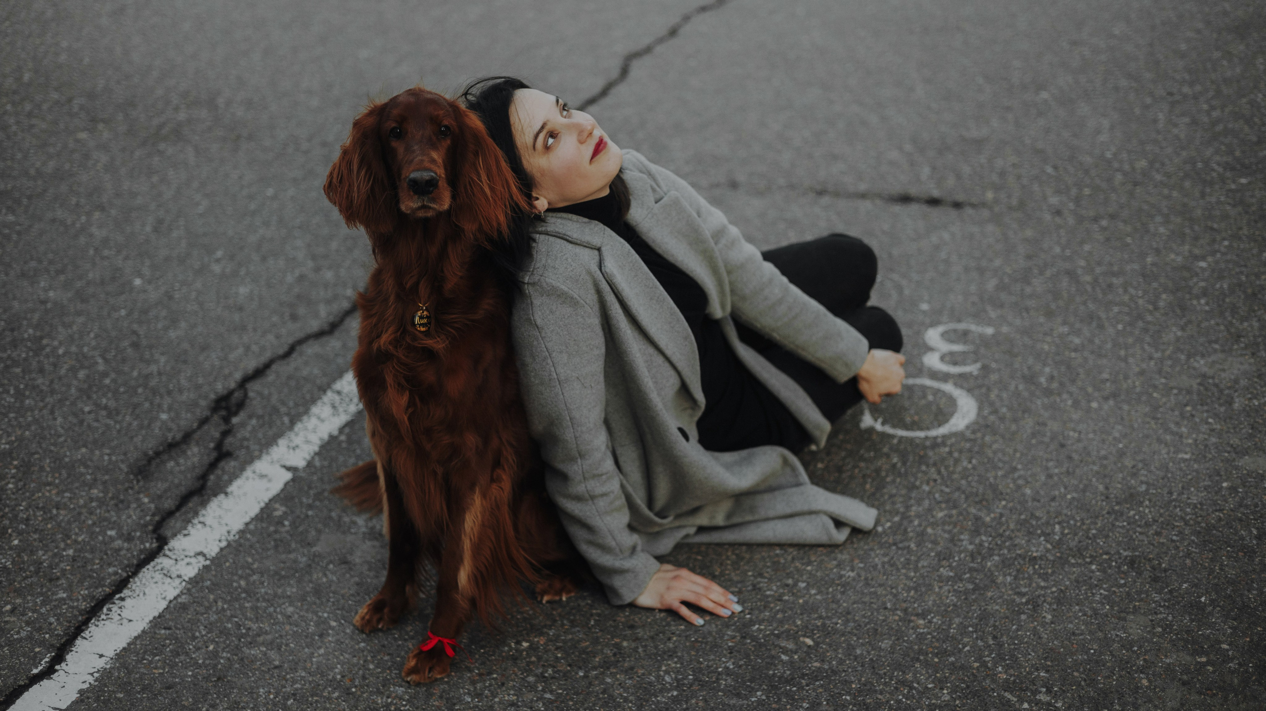 Маша и Лика. Фотограф-анималист Богданова Полина