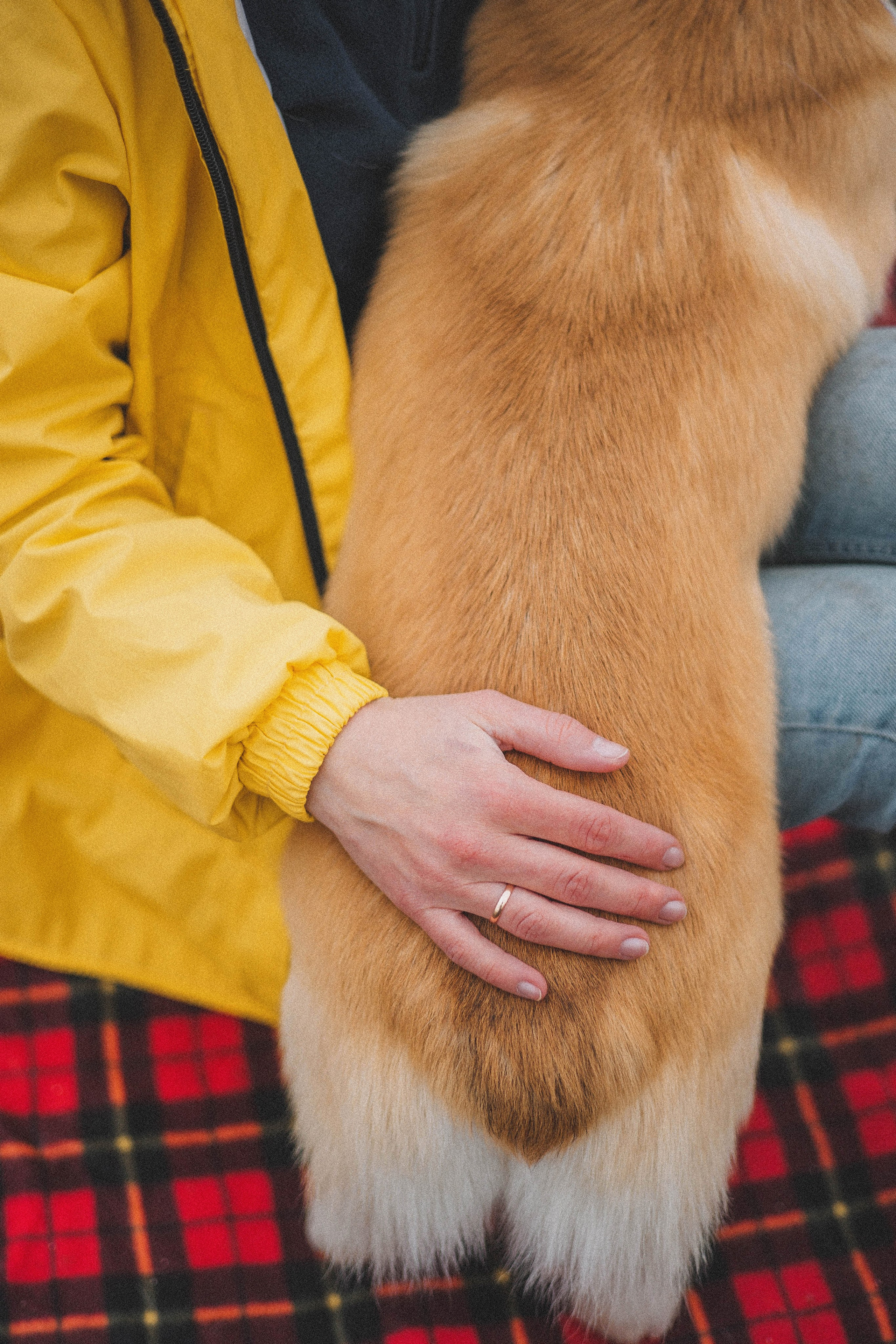 Юля и барри. Фотограф-анималист Богданова Полина