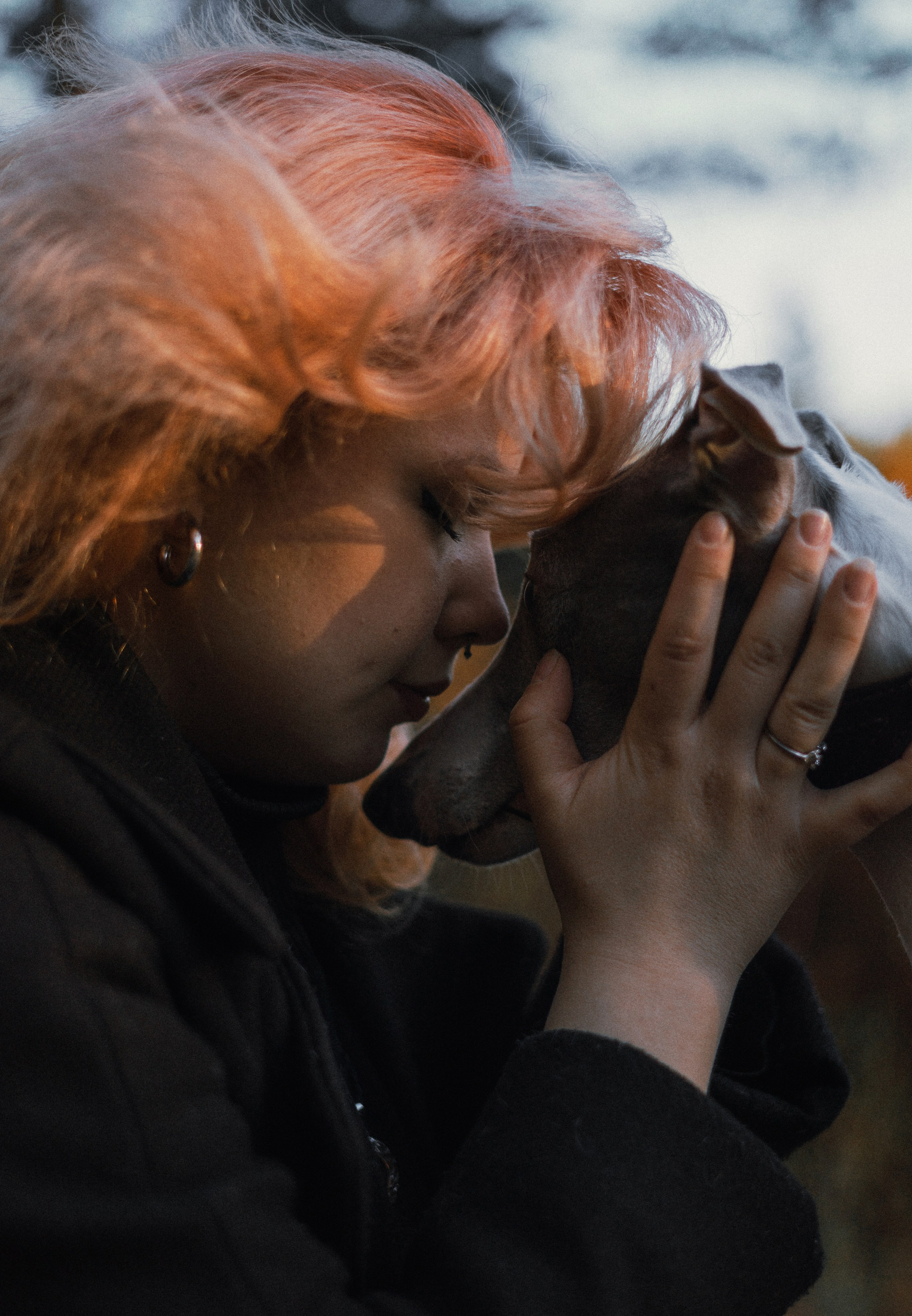 Вика, Джем и Белла. Фотограф-анималист Богданова Полина