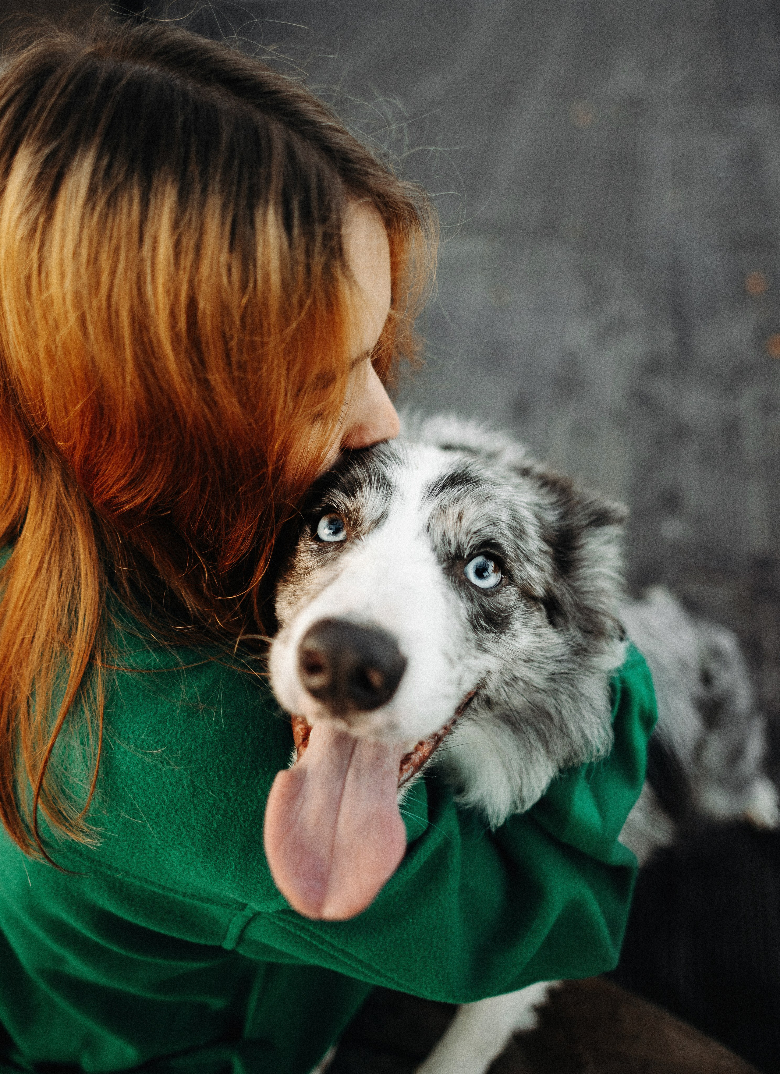 Диана и Робин. Фотограф-анималист Богданова Полина