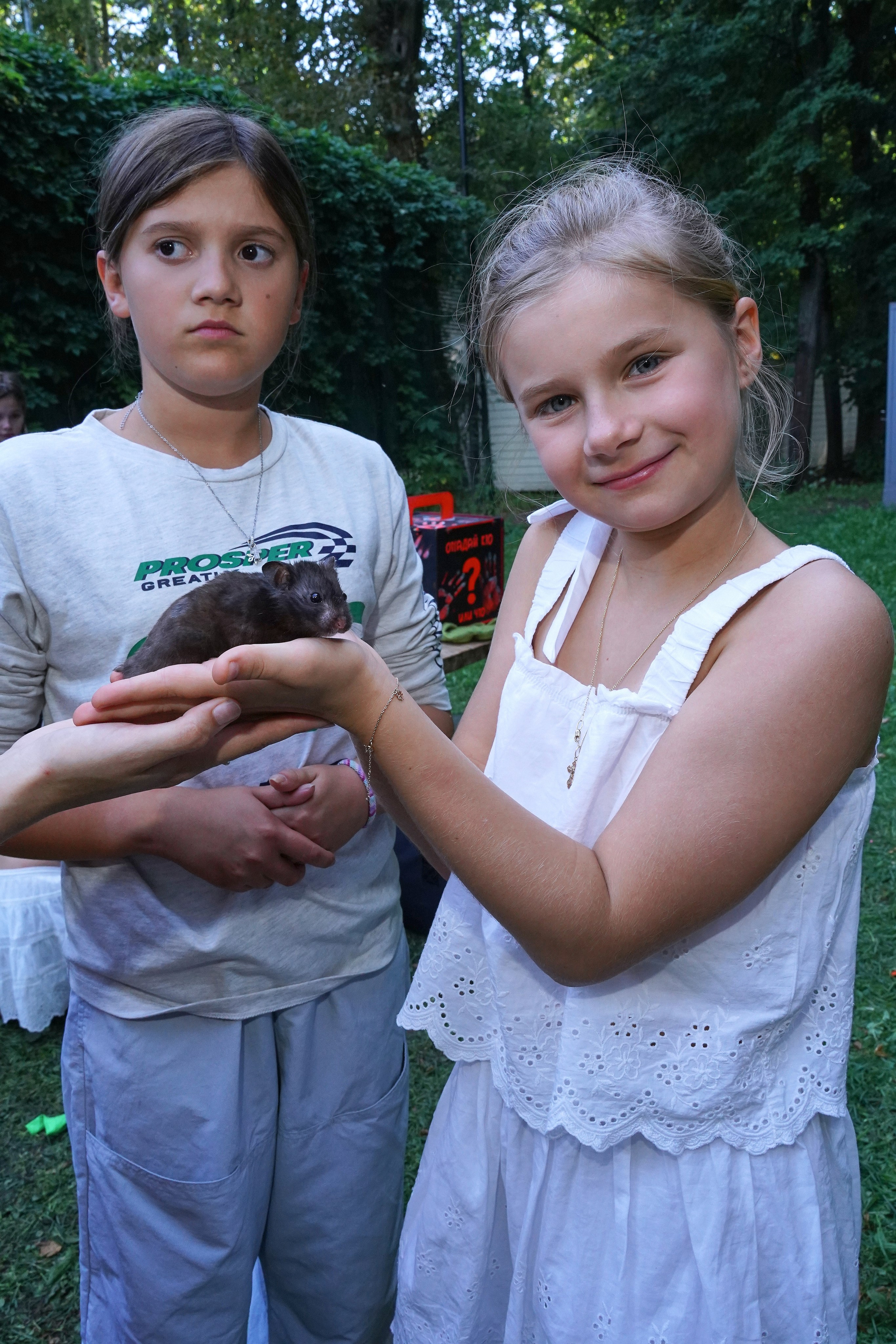 Екатерина детский день рождения. Фотограф