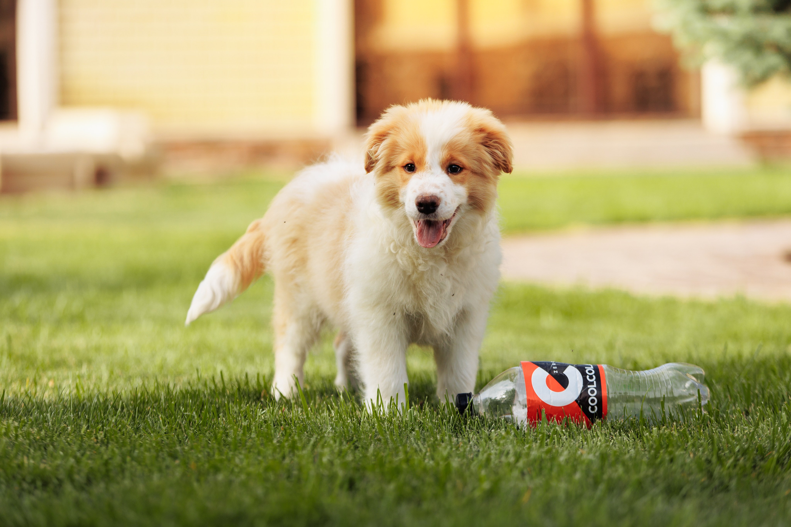 СОлнечные. О нас