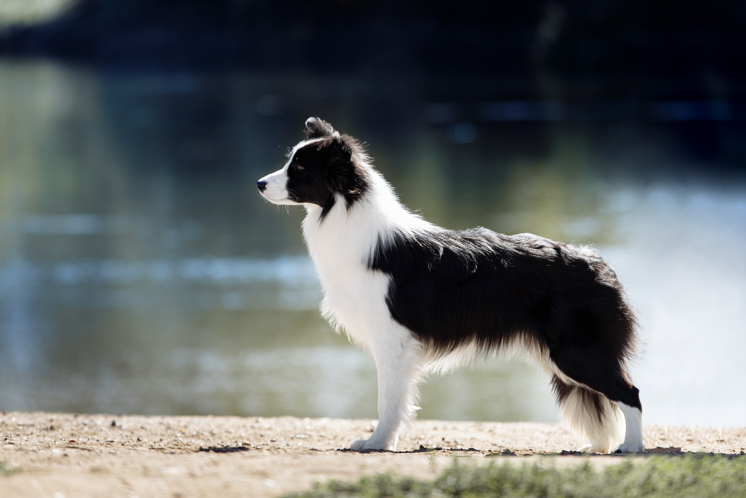 Водяные в Новотроицке. О нас